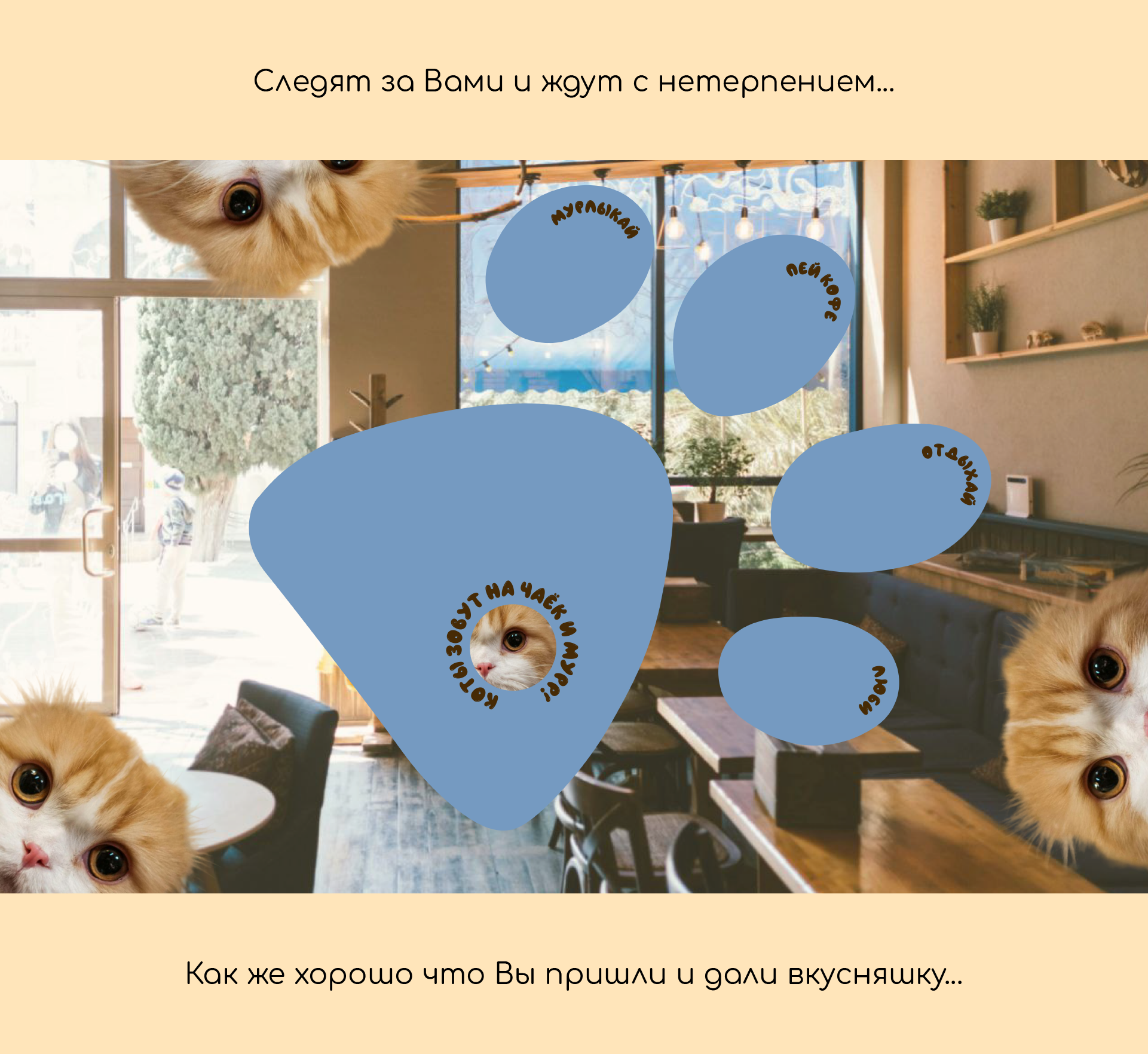 Котокафе "Рыбий хвост" — Изображение №6 — Брендинг на Dprofile