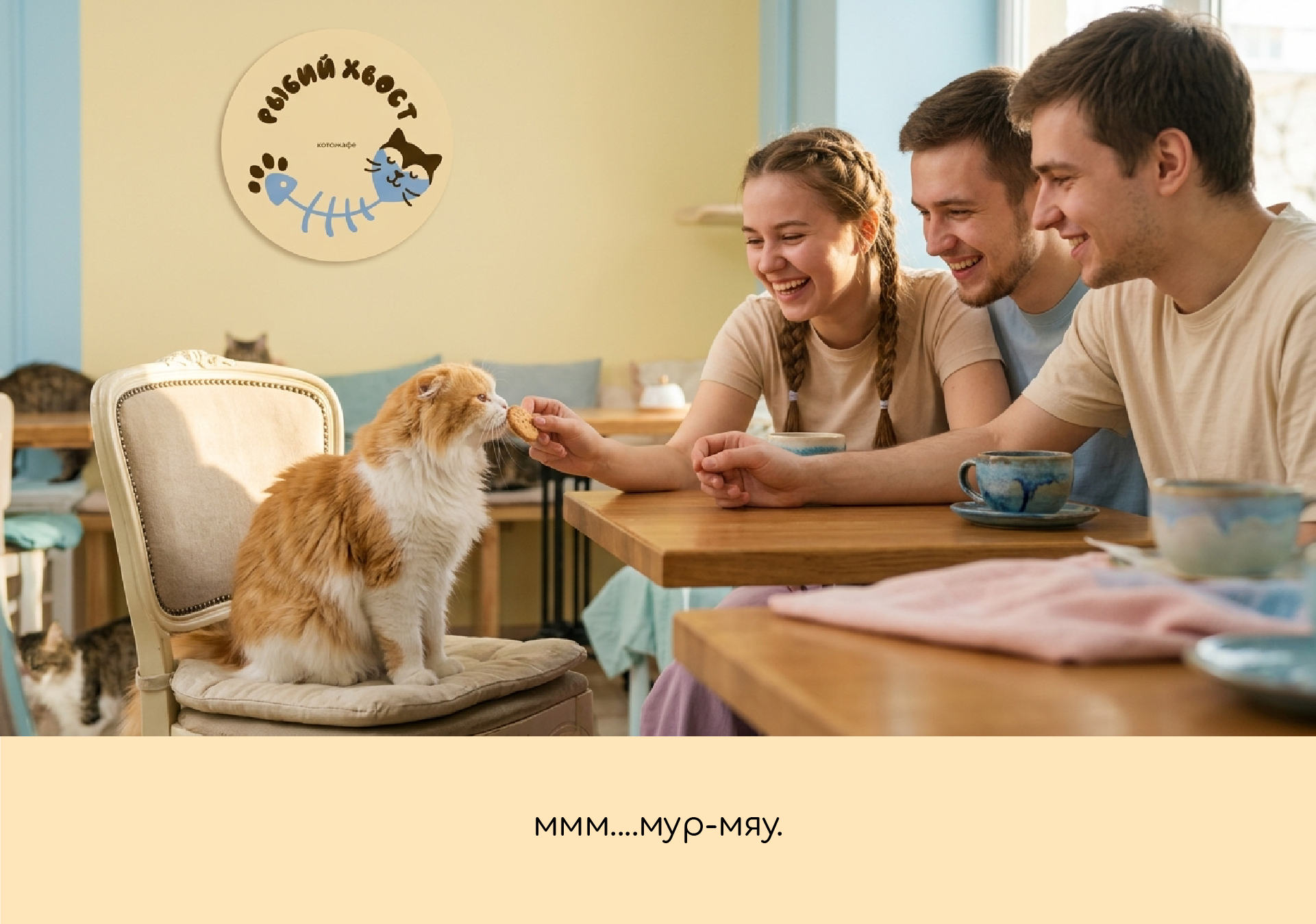 Котокафе "Рыбий хвост" — Изображение №7 — Брендинг на Dprofile