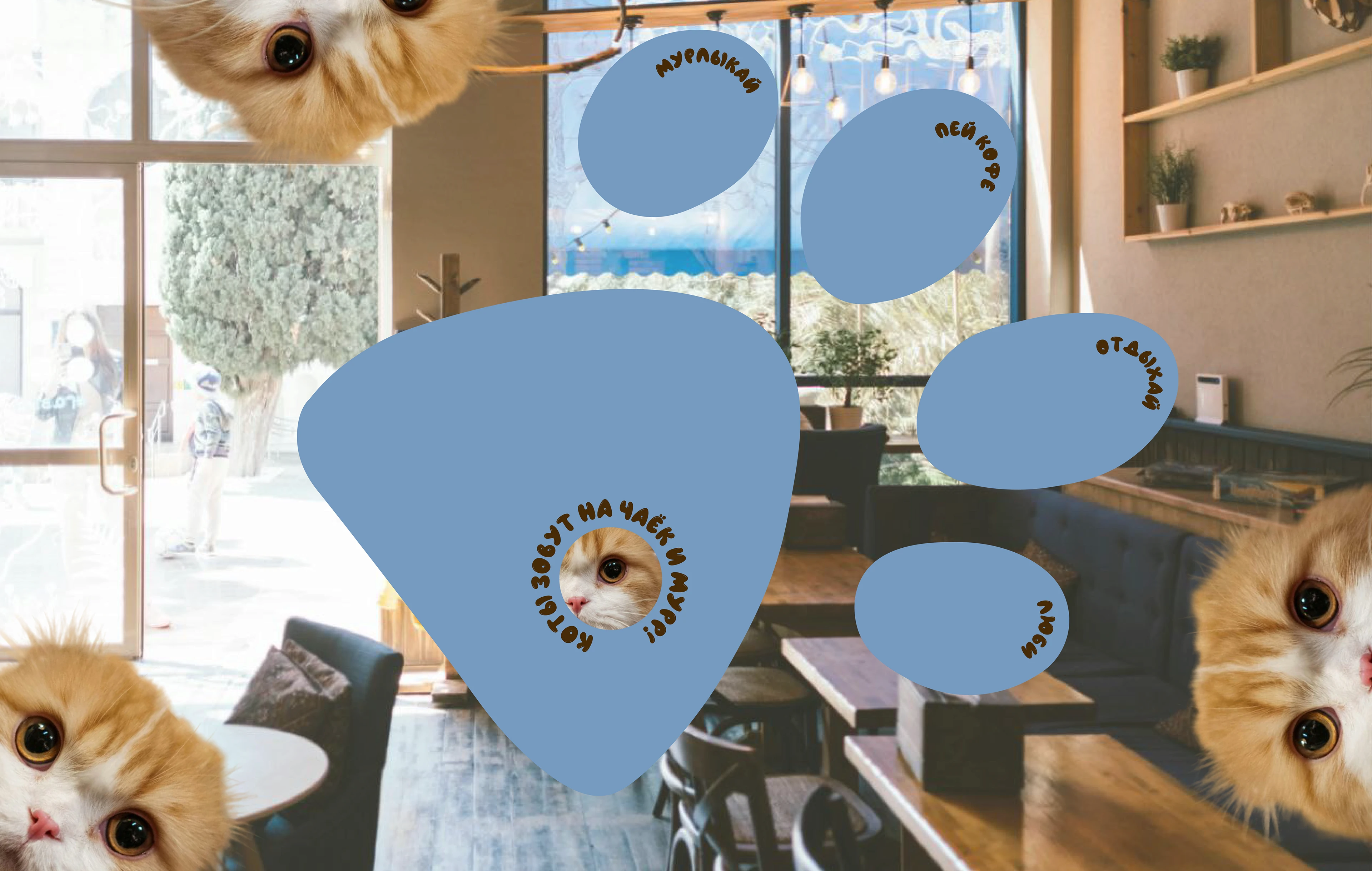 Котокафе "Рыбий хвост" — Изображение №6 — Брендинг на Dprofile