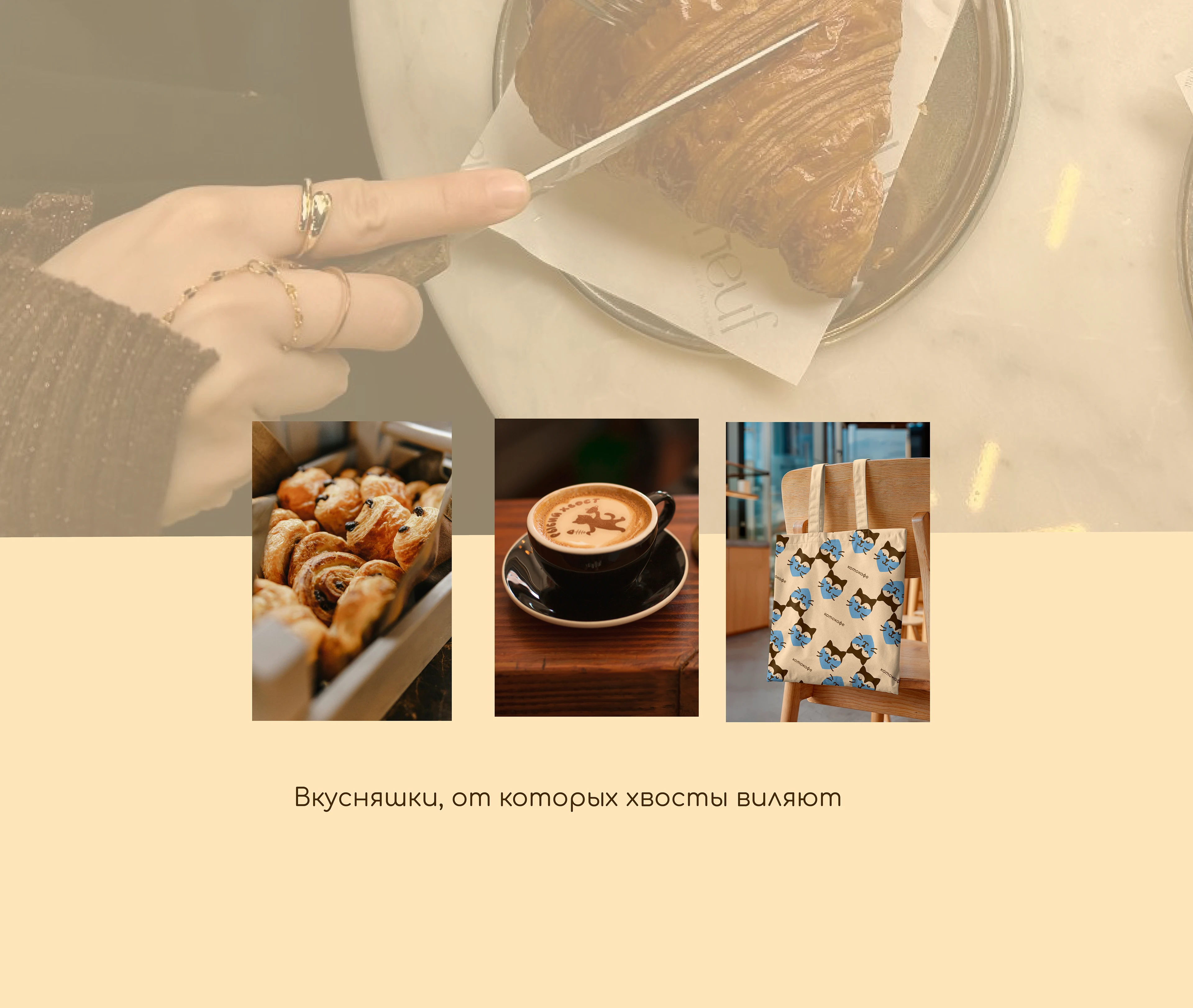 Котокафе "Рыбий хвост" — Изображение №11 — Брендинг на Dprofile