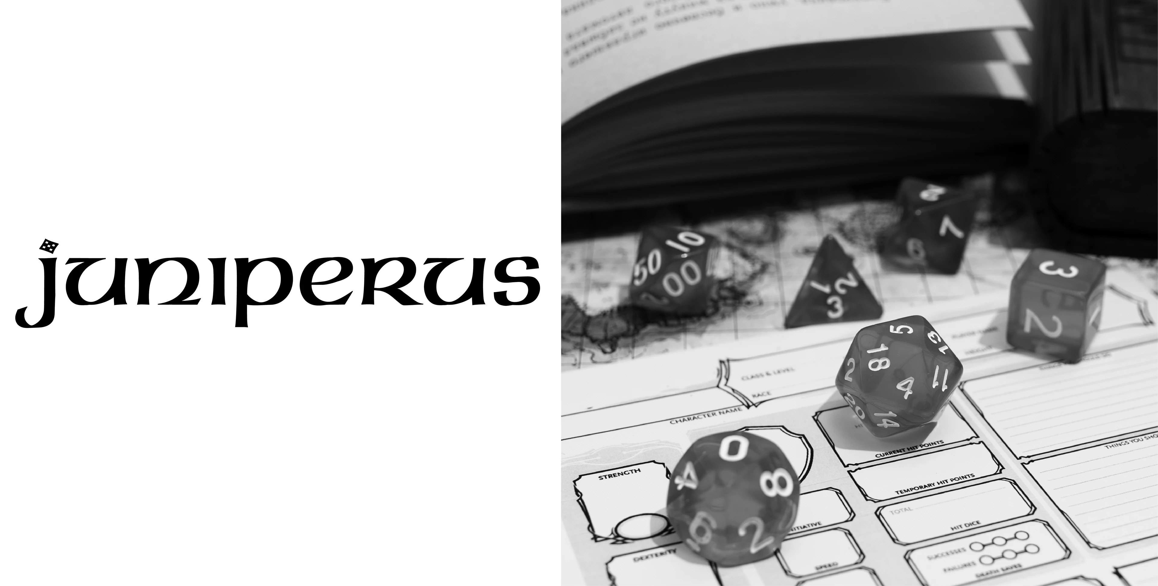 Juniperus - Визуальная айдентика — Изображение №3 — Брендинг, Графика на Dprofile