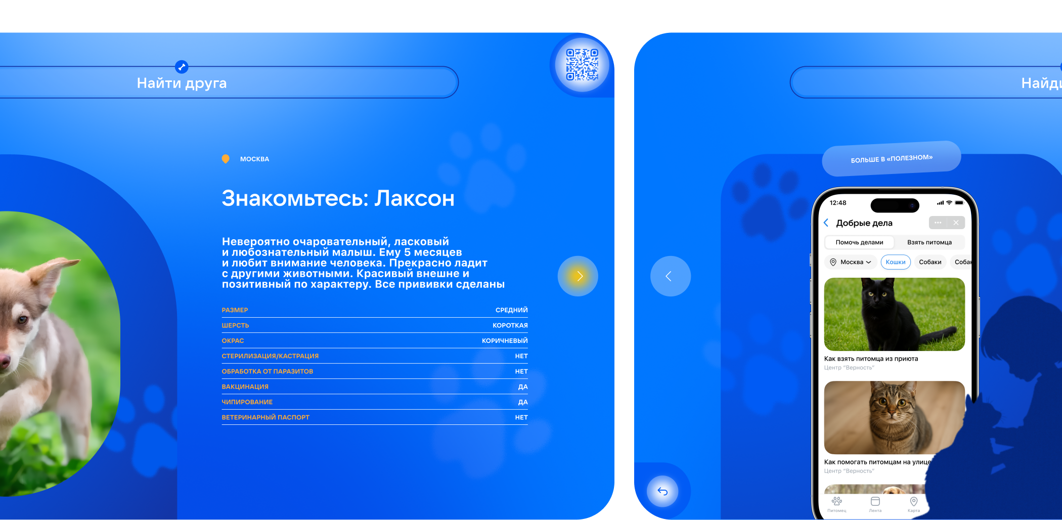 ВК питомцы - VKfest — Изображение №13 — Интерфейсы, Иллюстрация на Dprofile