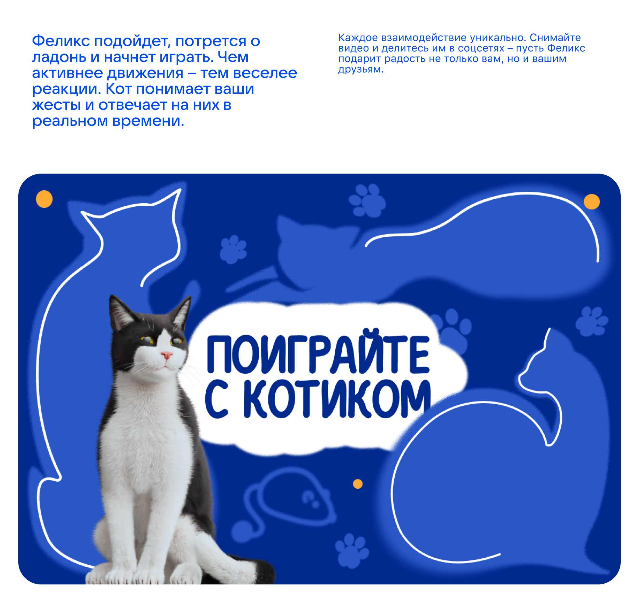 ВК питомцы - VKfest — Изображение №9 — Интерфейсы, Иллюстрация на Dprofile