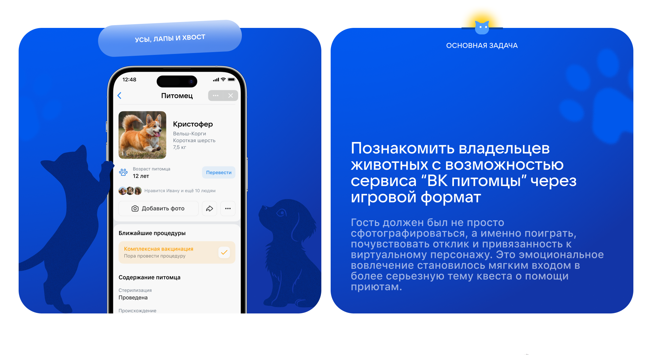 ВК питомцы - VKfest — Изображение №3 — Интерфейсы, Иллюстрация на Dprofile