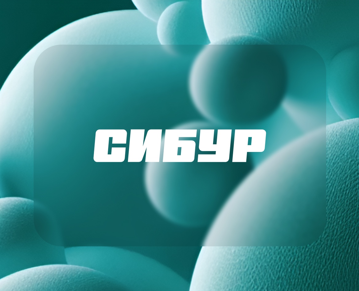 Сибур - интерактивная библиотека на Dprofile