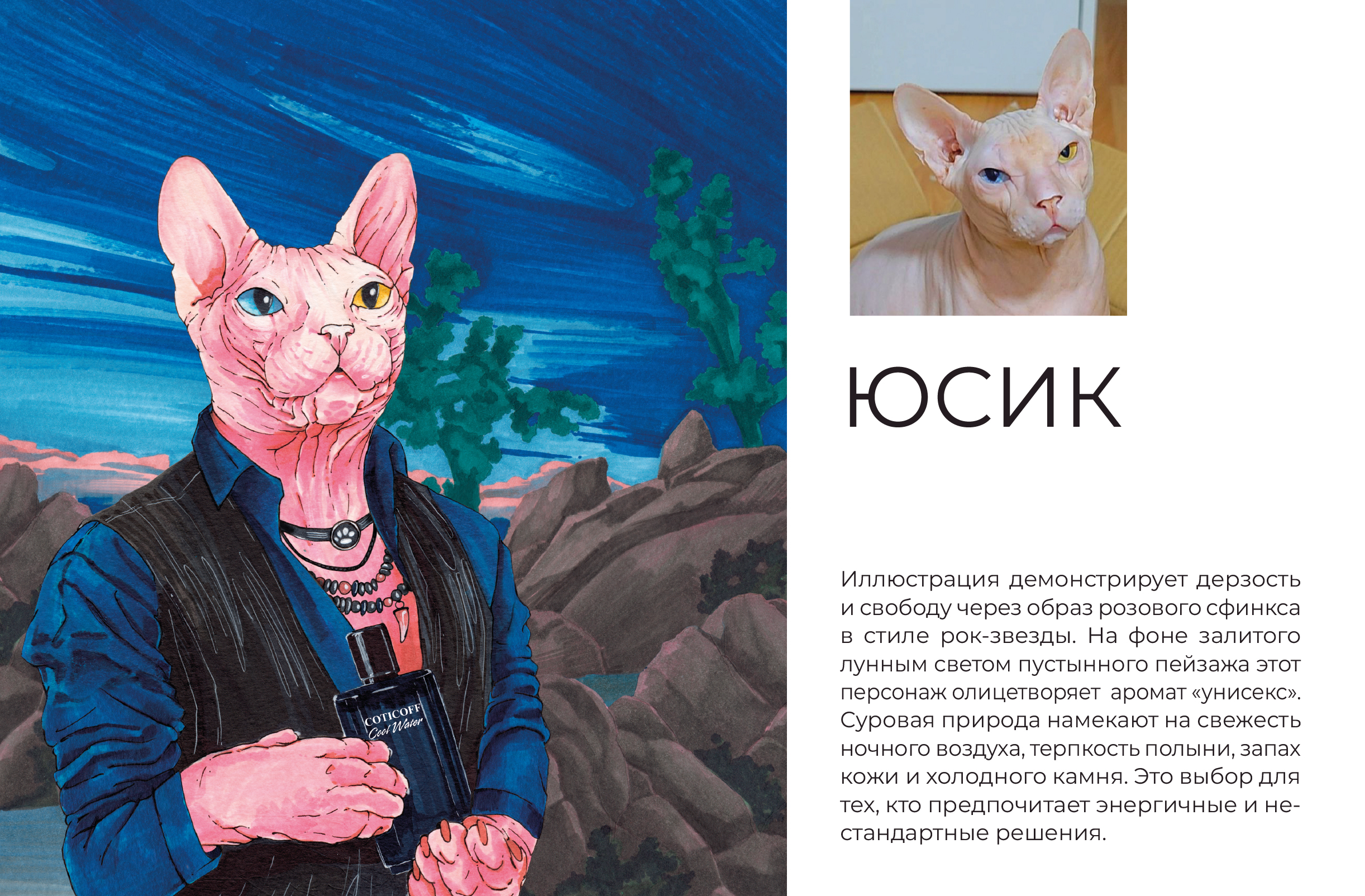 Серия иллюстраций для бренда Uniqpet — Изображение №2 — Брендинг, Иллюстрация на Dprofile