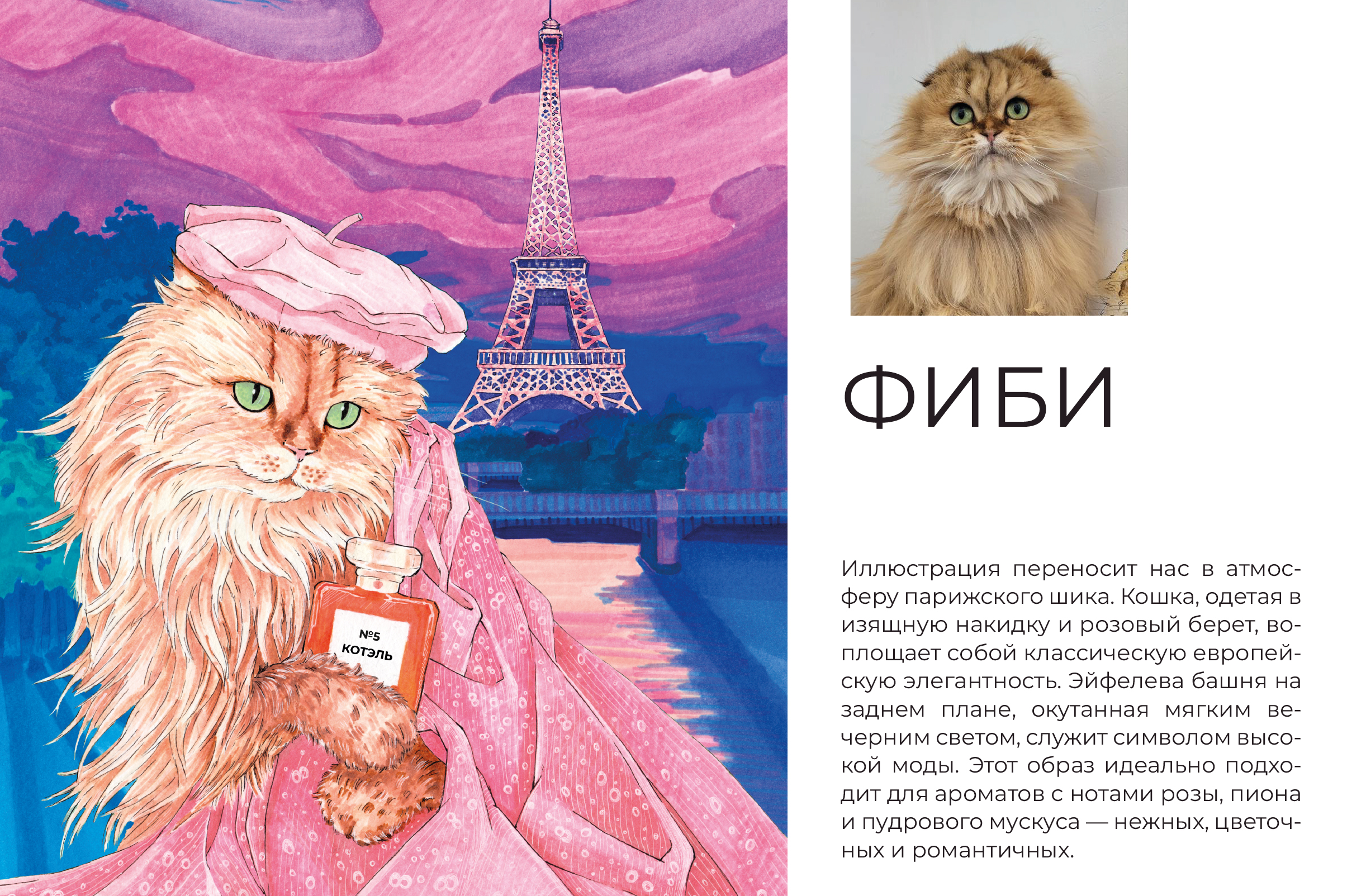 Серия иллюстраций для бренда Uniqpet — Изображение №4 — Брендинг, Иллюстрация на Dprofile