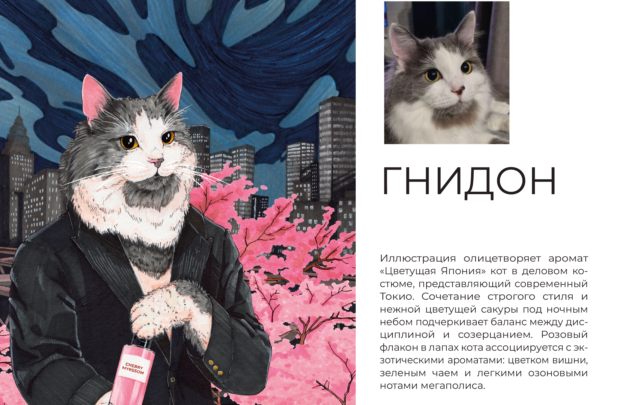 Серия иллюстраций для бренда Uniqpet — Изображение №6 — Брендинг, Иллюстрация на Dprofile