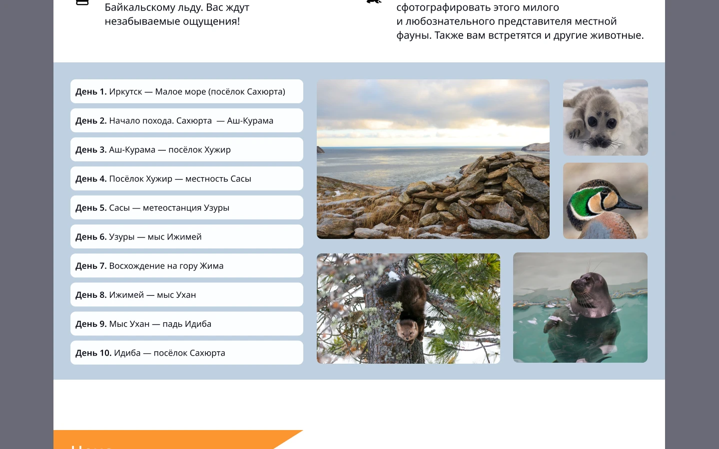 Landing page — Изображение №6 — Интерфейсы, Брендинг на Dprofile