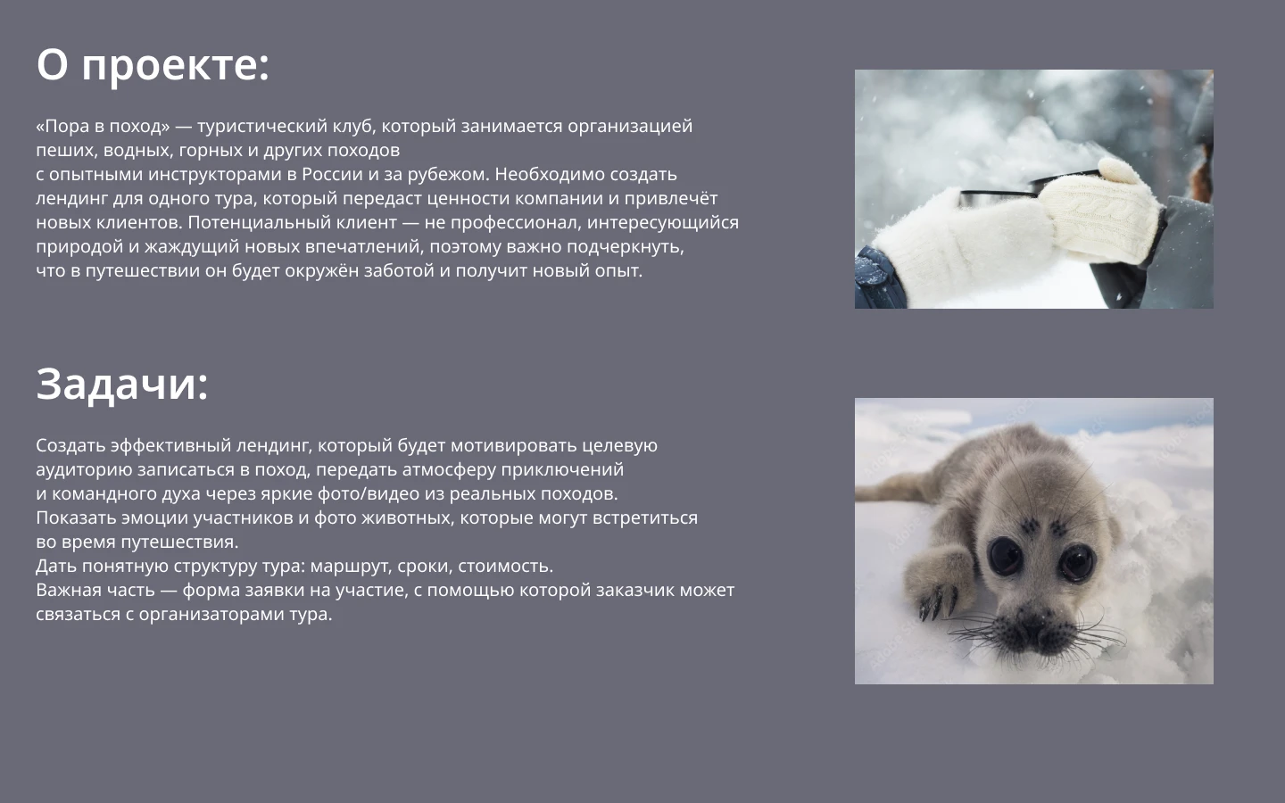 Landing page — Изображение №2 — Интерфейсы, Брендинг на Dprofile