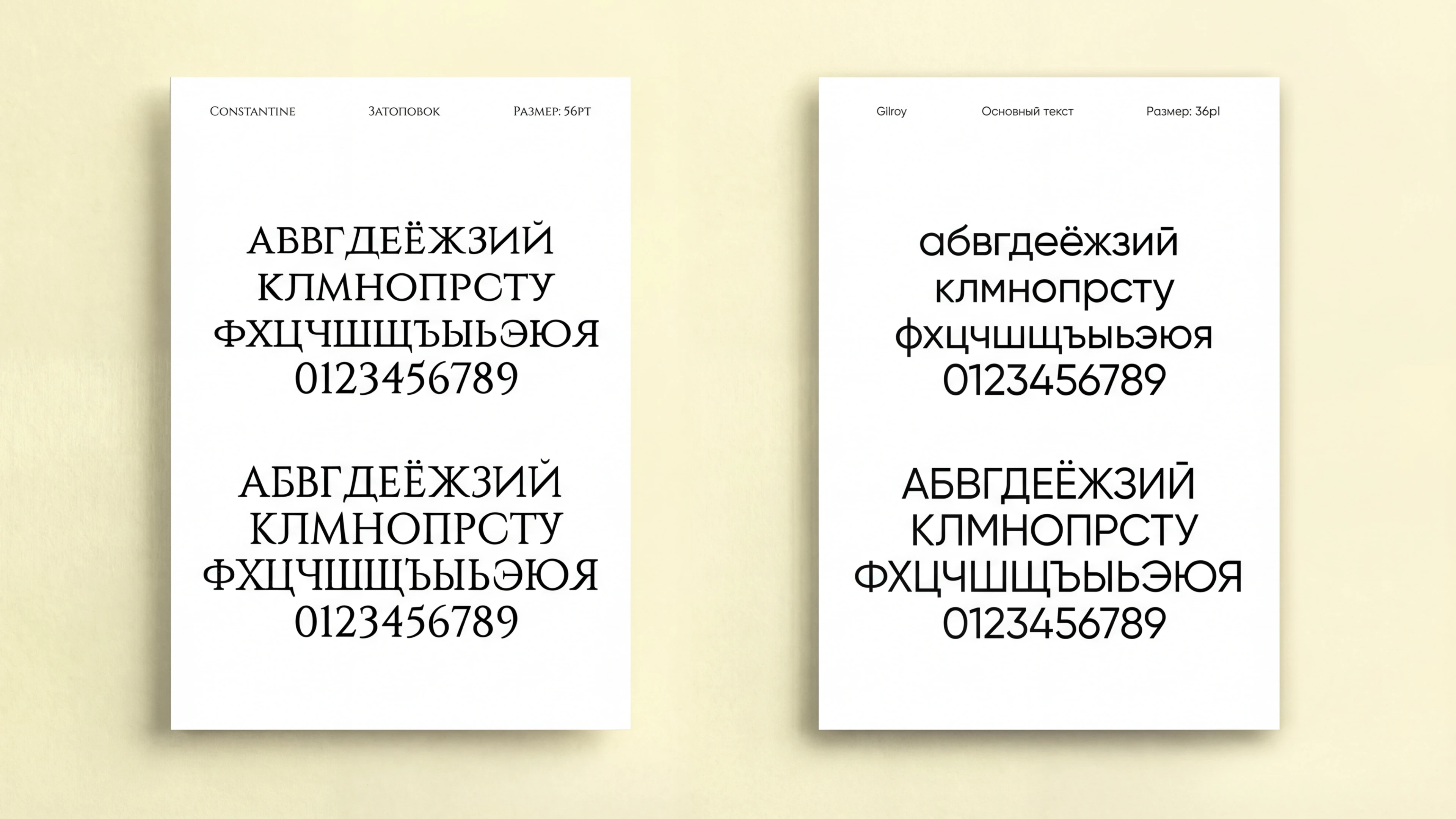 FABHO • Брендинг Студии Наращивания Волос — Изображение №5 — Брендинг на Dprofile