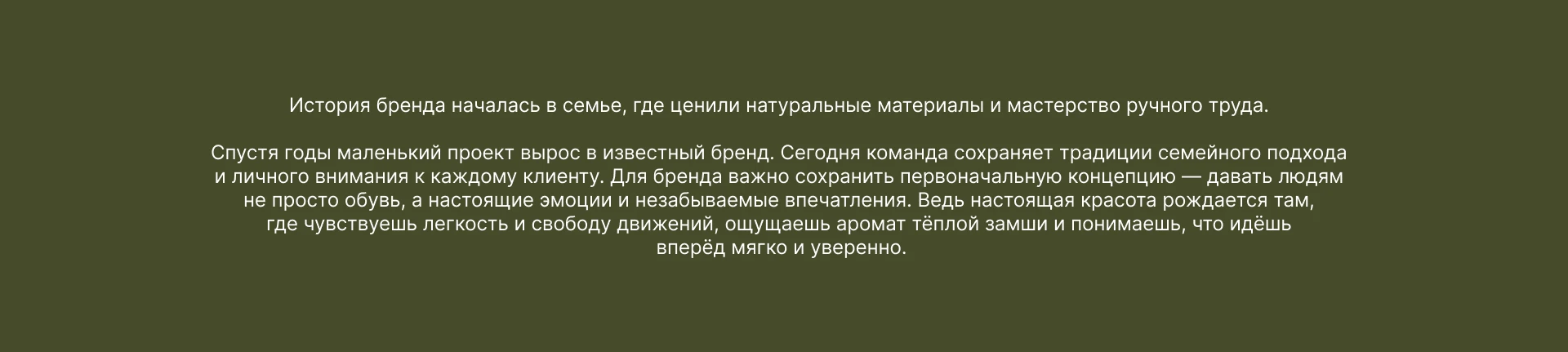 МАГАЗИН ОБУВИ | ФИРМЕННЫЙ СТИЛЬ | BRANDING | LOGO — Изображение №2 — Брендинг на Dprofile