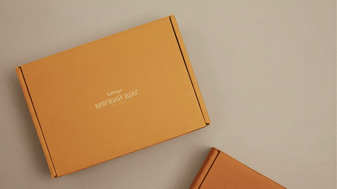 МАГАЗИН ОБУВИ | ФИРМЕННЫЙ СТИЛЬ | BRANDING | LOGO — Изображение №6 — Брендинг на Dprofile