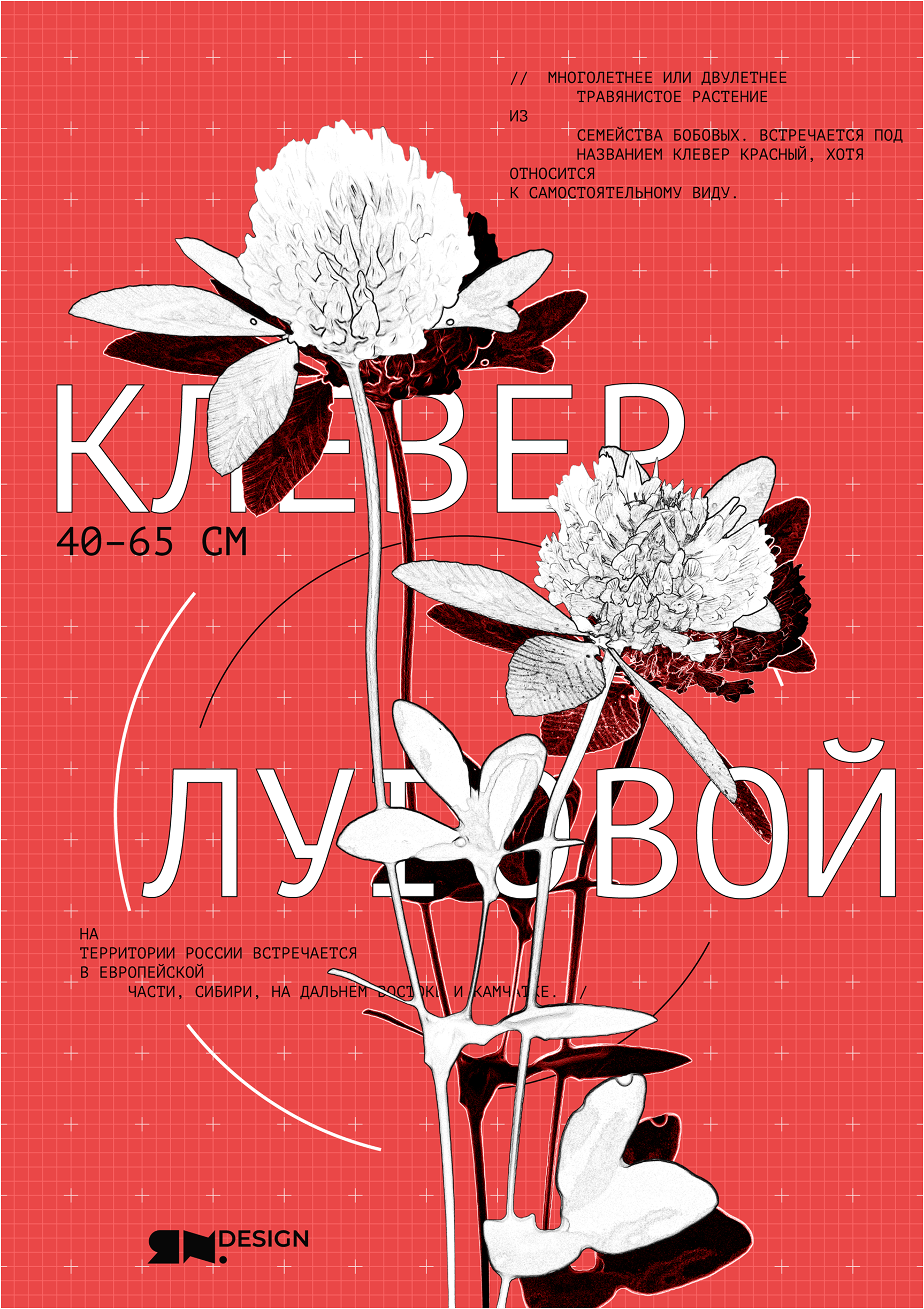 Круглые Круги Кружатся — Изображение №58 — Графика на Dprofile