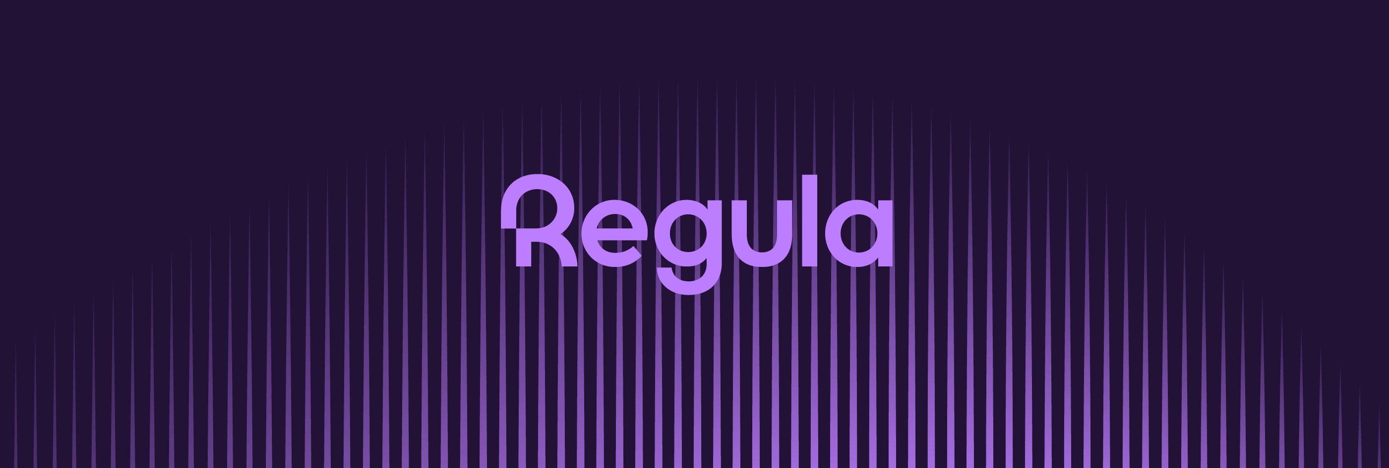 Regula Branding \\ 2025 — Изображение №16 — Брендинг, Графика на Dprofile