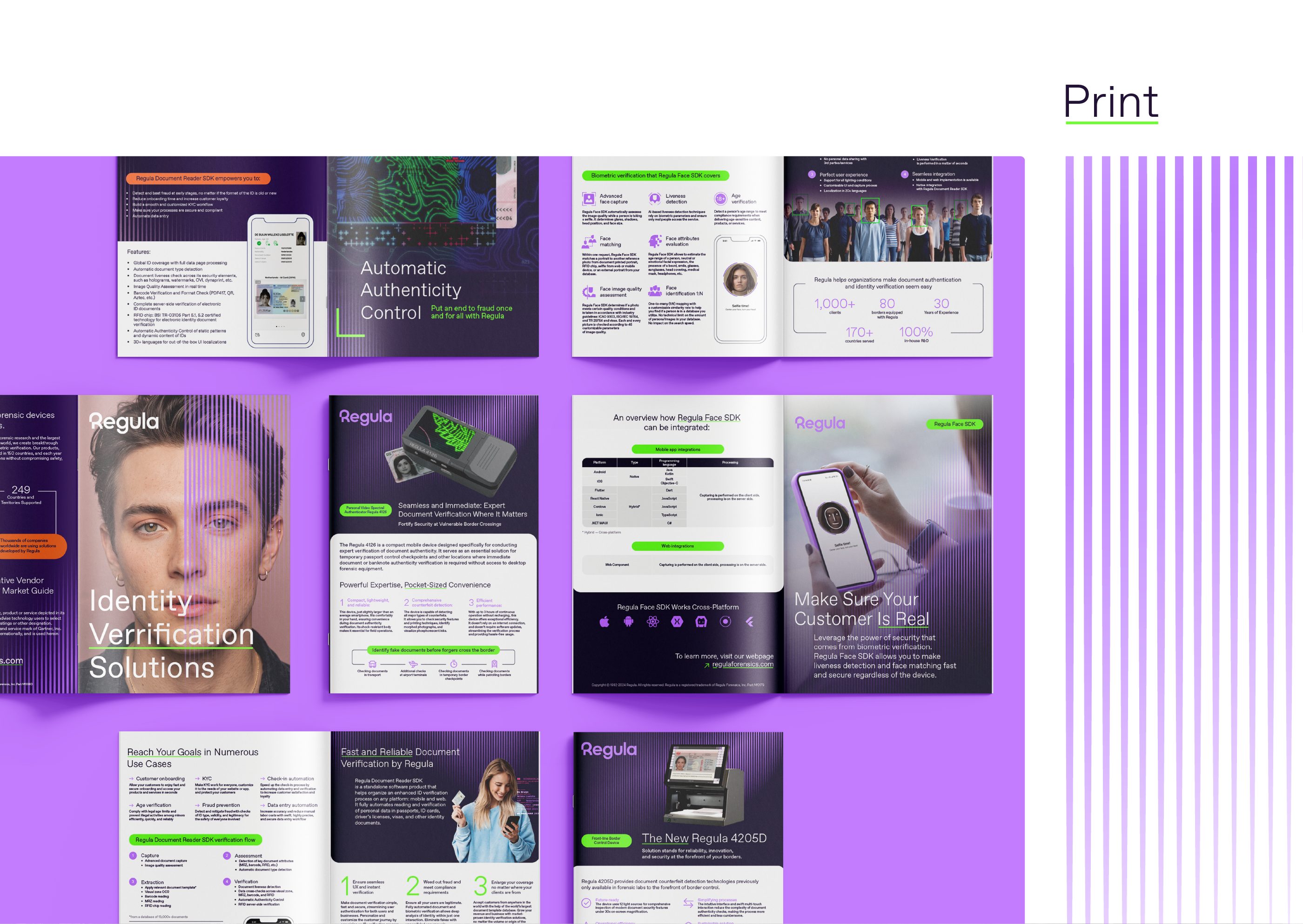 Regula Branding \\ 2025 — Изображение №3 — Брендинг, Графика на Dprofile