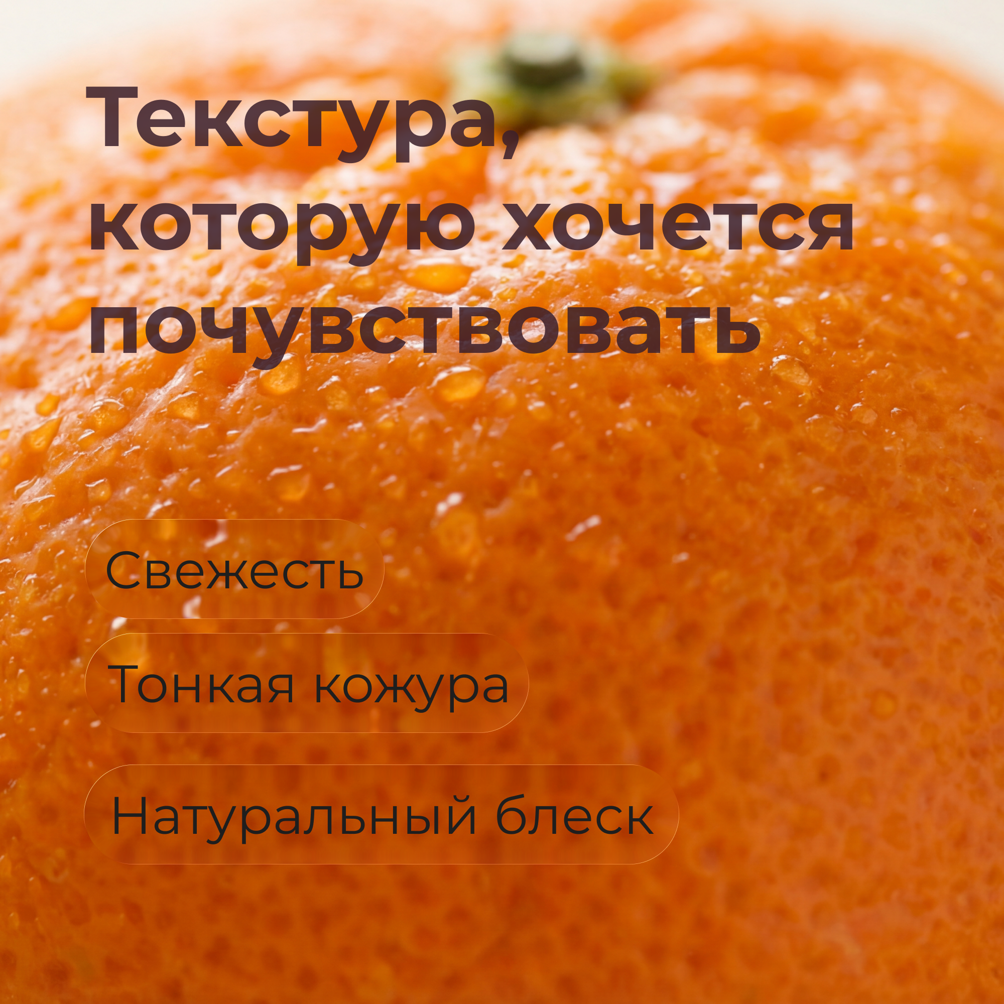 Инфографика цитрусов. — Изображение №3 — Графика на Dprofile