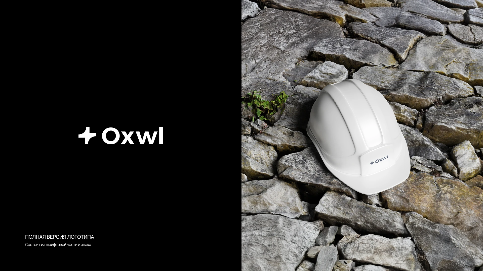 Oxwl — Изображение №2 — Брендинг на Dprofile