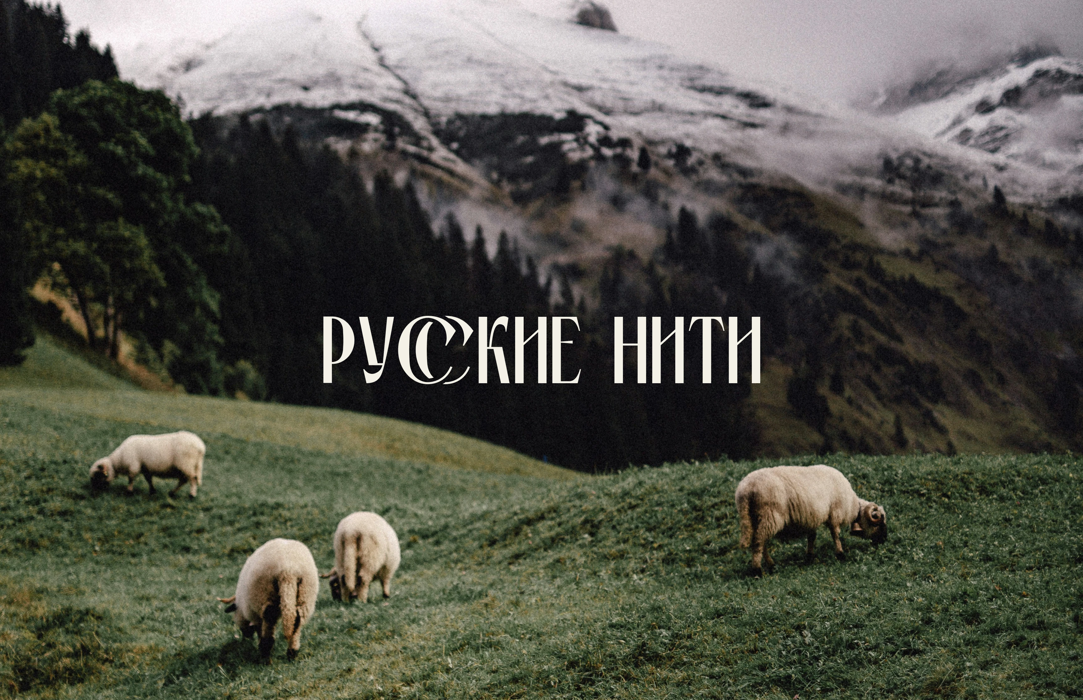 РУССКИЕ НИТИ | фирменный стиль — Изображение №2 — Брендинг, Графика на Dprofile