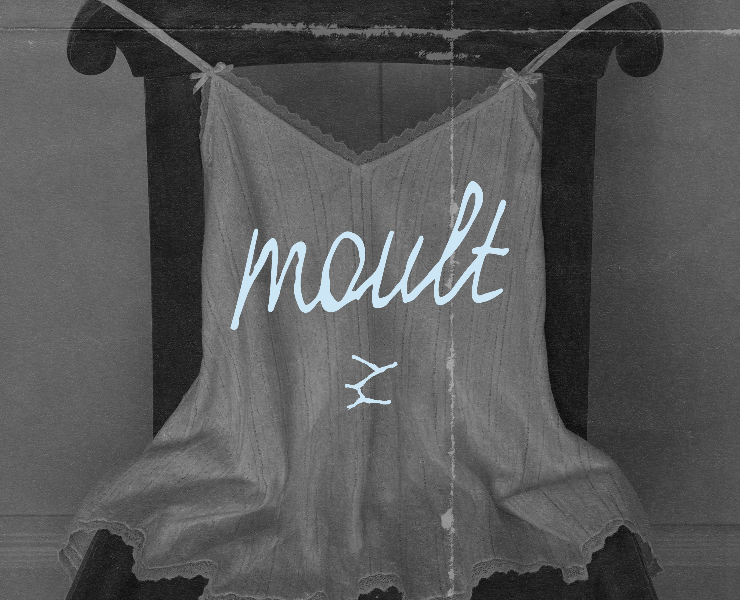 moult | фирменный стиль — Брендинг, Графика на Dprofile