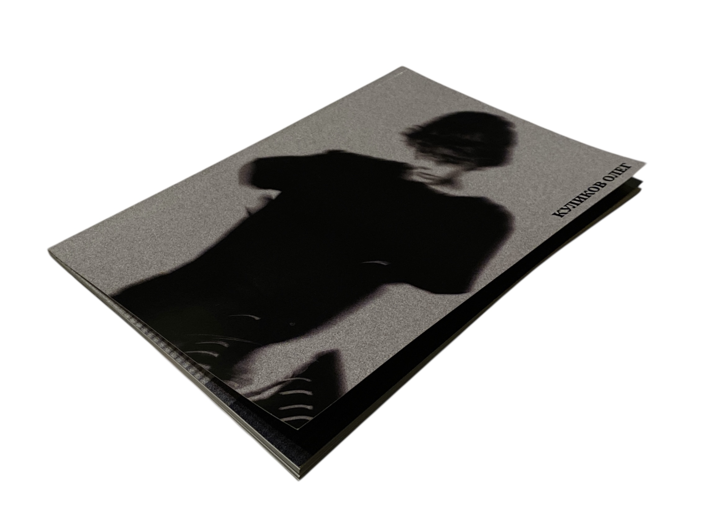 Портфолио 2026 — Изображение №1 — Брендинг на Dprofile