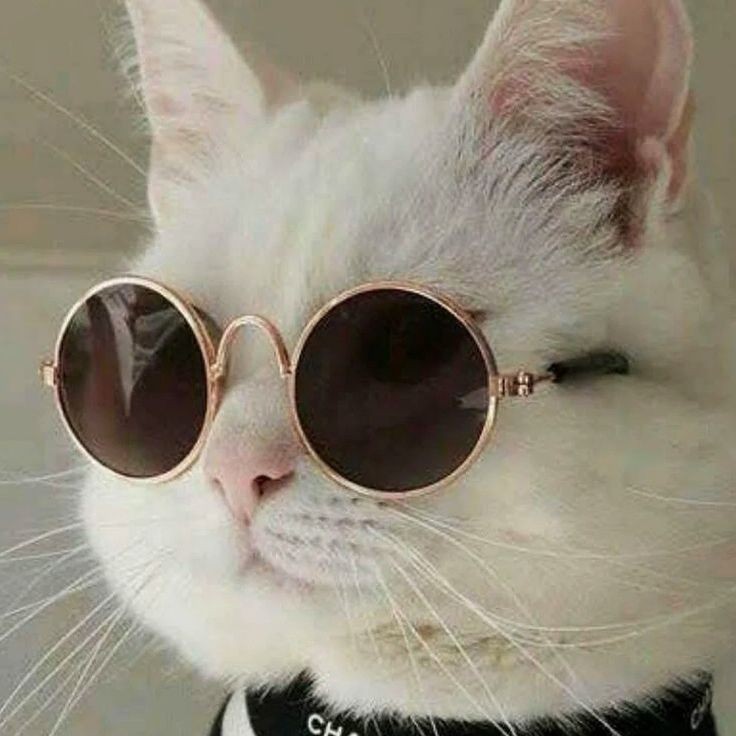 Аватар пользователя Владимир Бутко