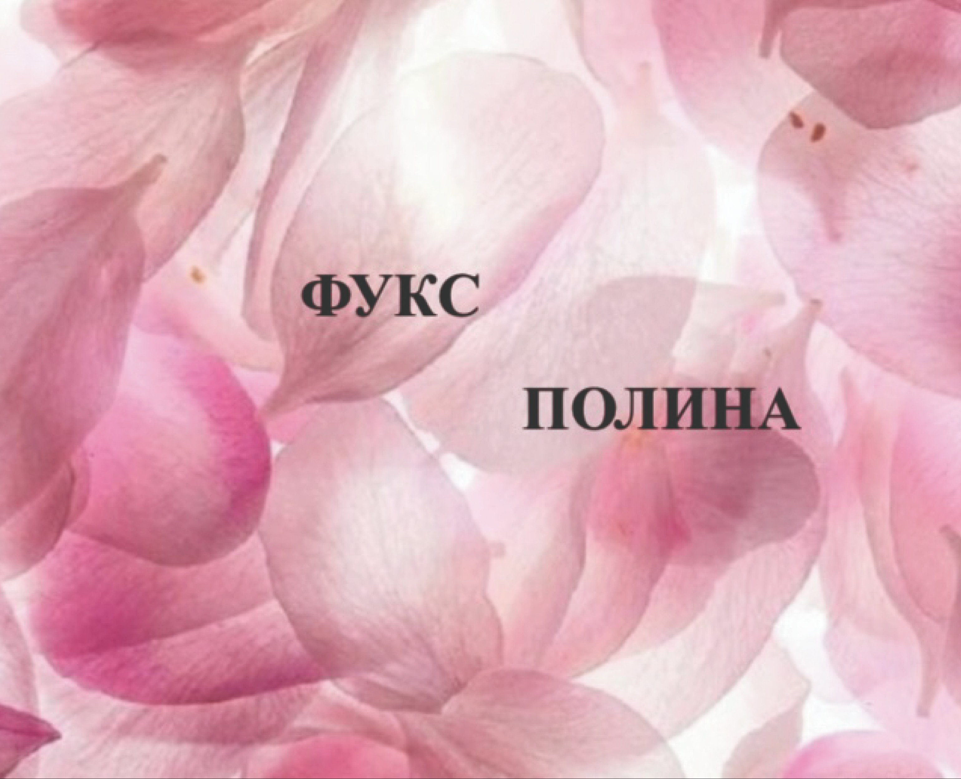 Портфолио 2026 — Брендинг, Иллюстрация на Dprofile