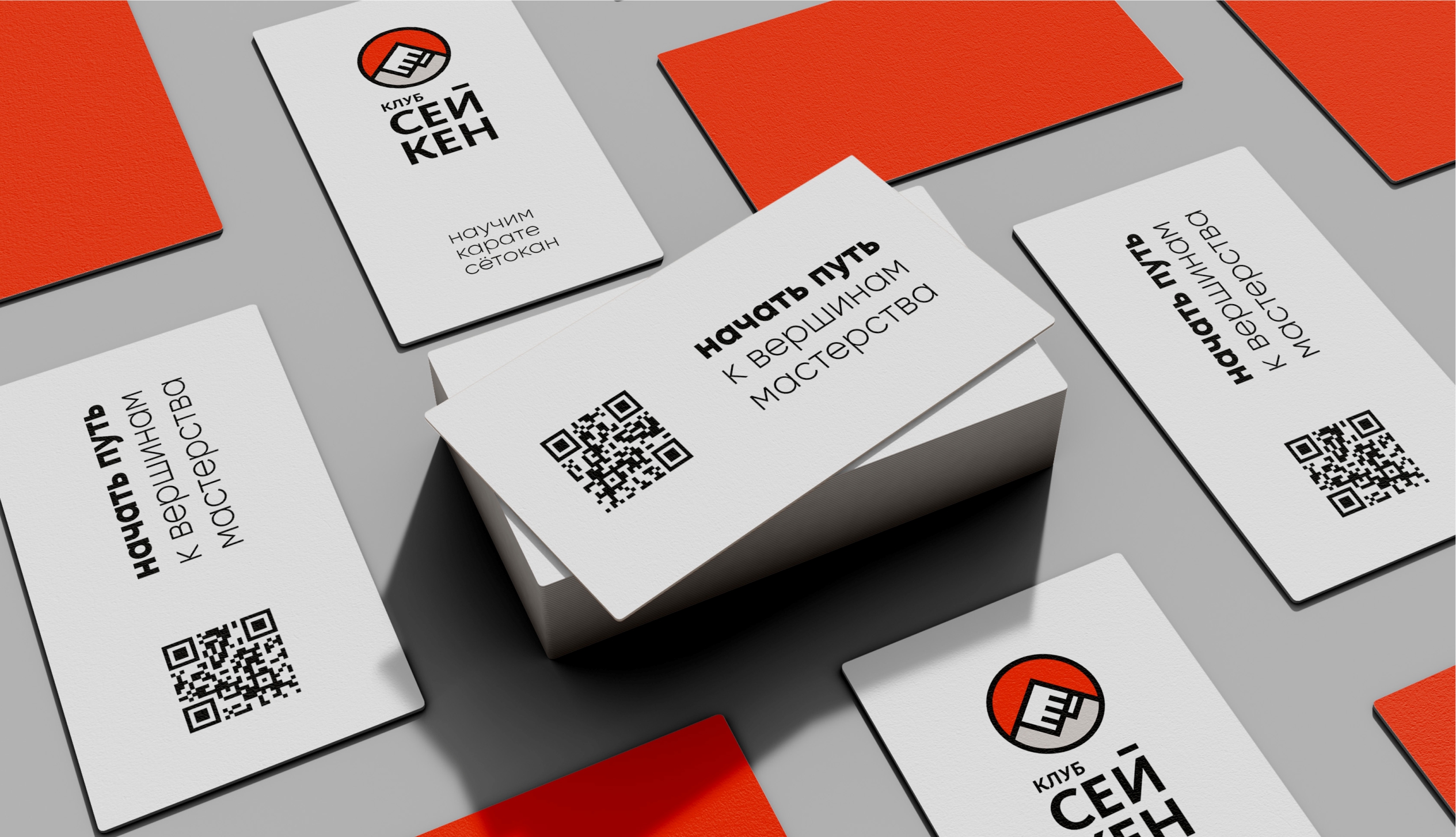 Фирменный стиль для клуба каратэ — Изображение №1 — Брендинг на Dprofile