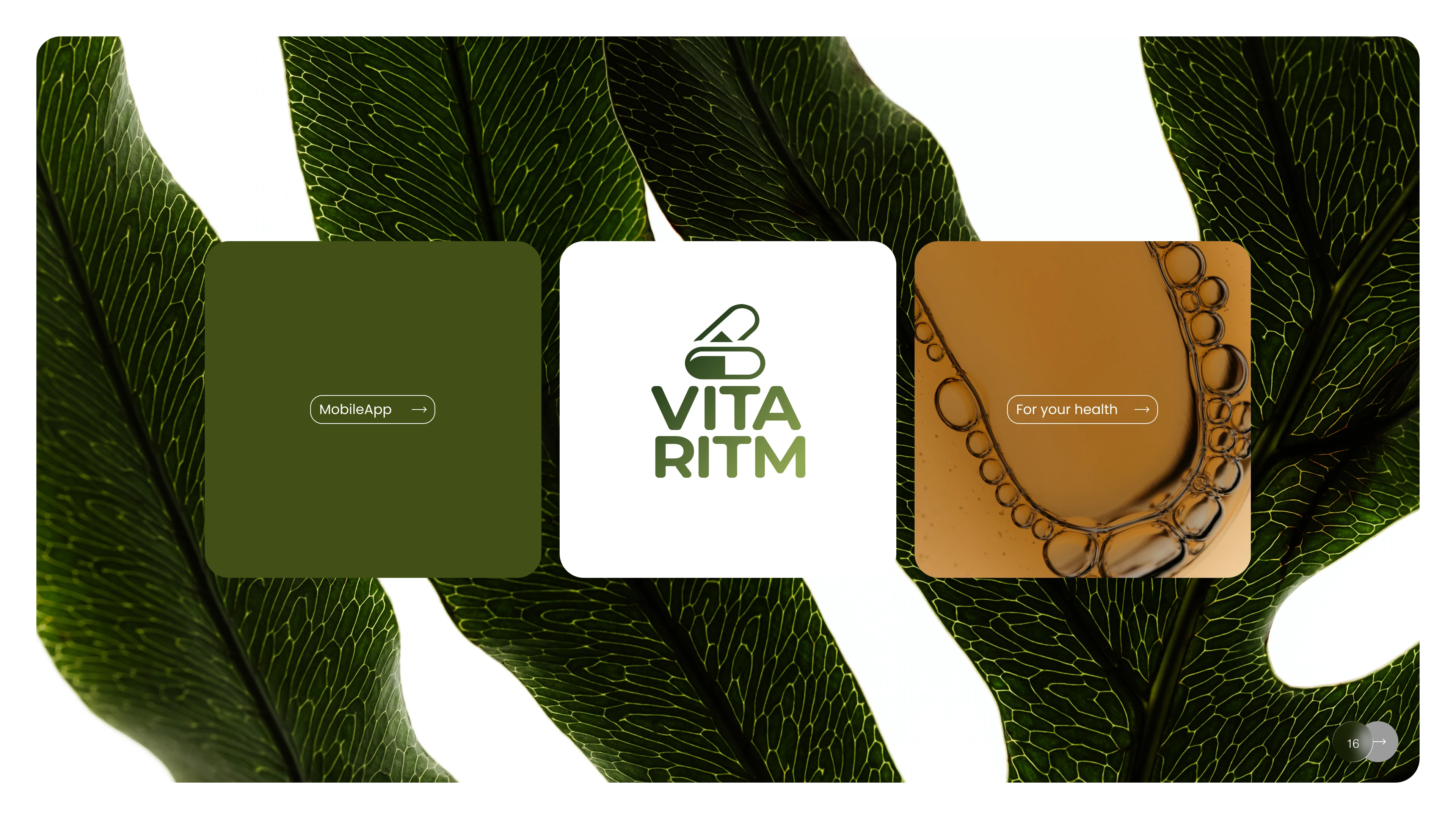 Мобильное приложение для контроля совместимости витаминов — Изображение №17 — Интерфейсы, Маркетинг на Dprofile