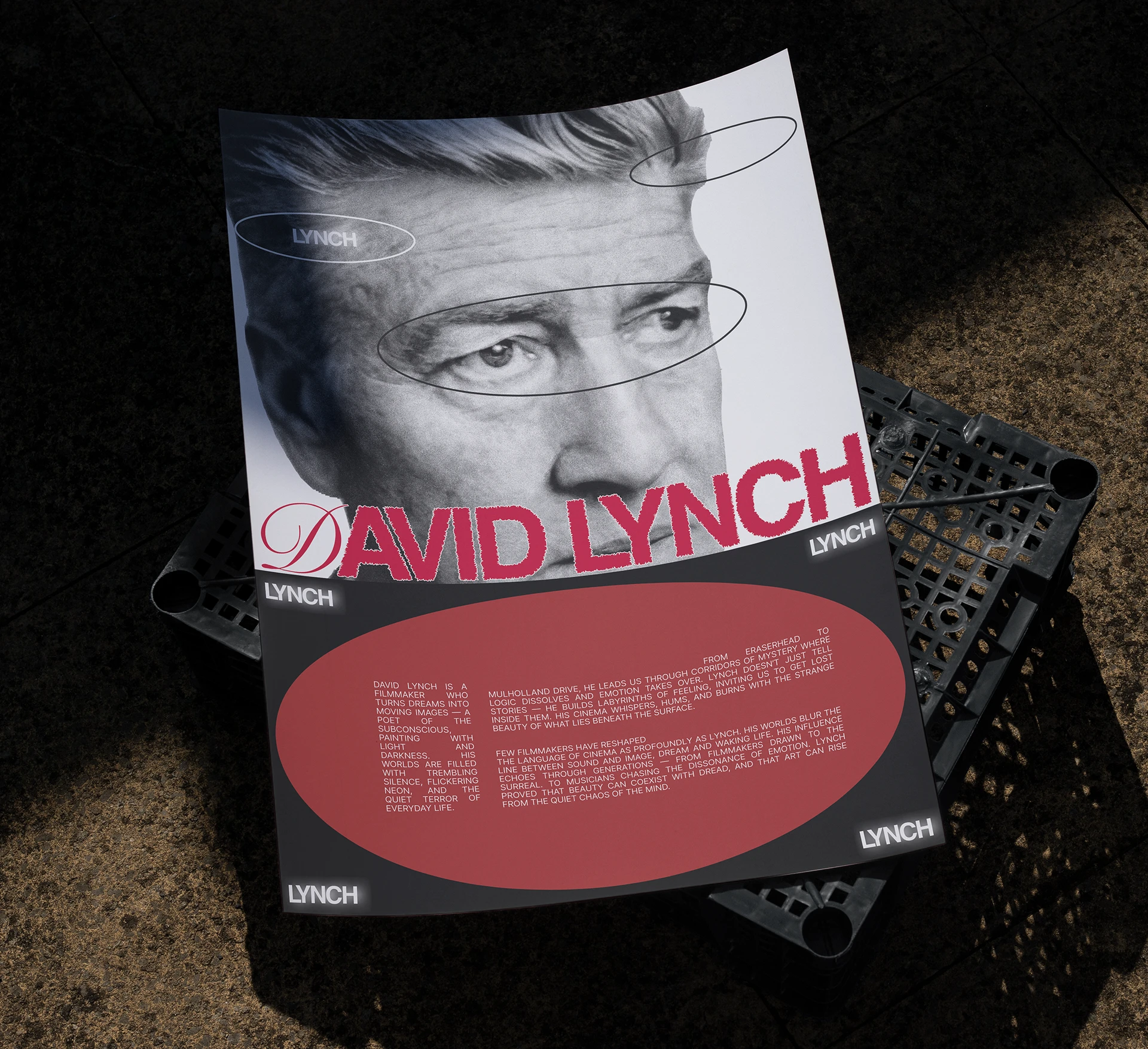 David Lynch│Biography Website — Изображение №4 — Интерфейсы на Dprofile
