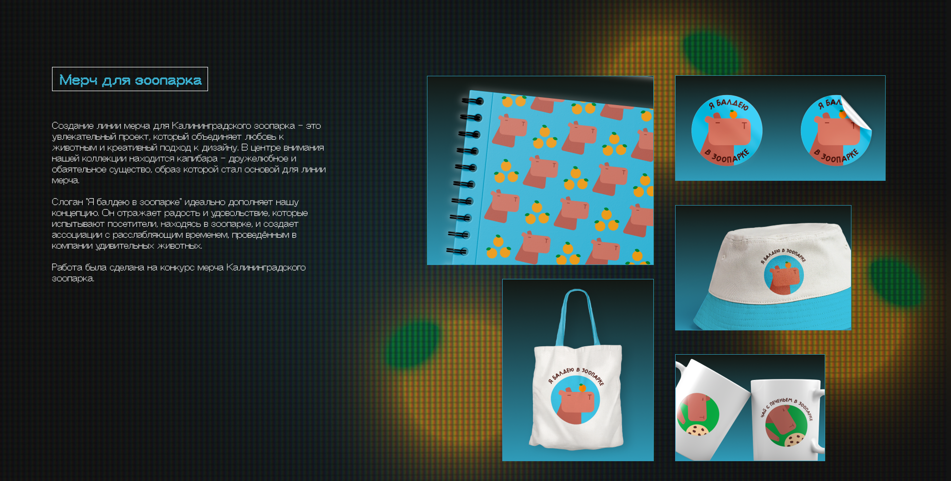 Portfolio | UX/UI | Graphic Design — Изображение №16 — Интерфейсы на Dprofile