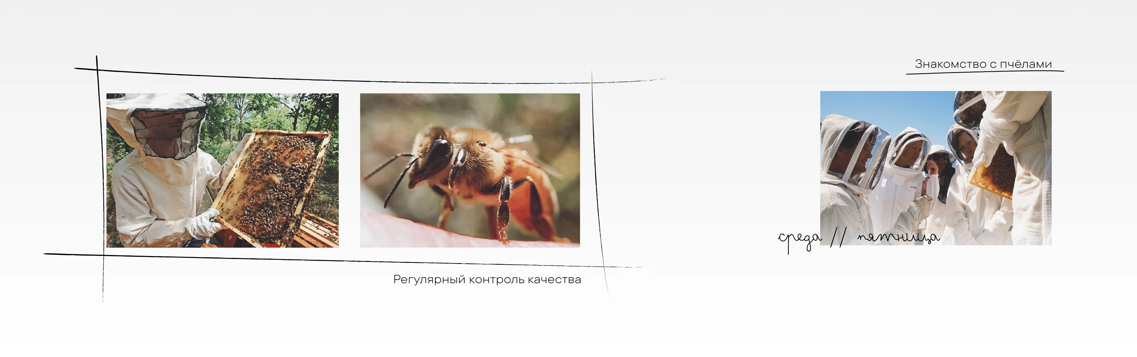 ГЛЕМПИНГ — Изображение №15 — Брендинг, Маркетинг на Dprofile