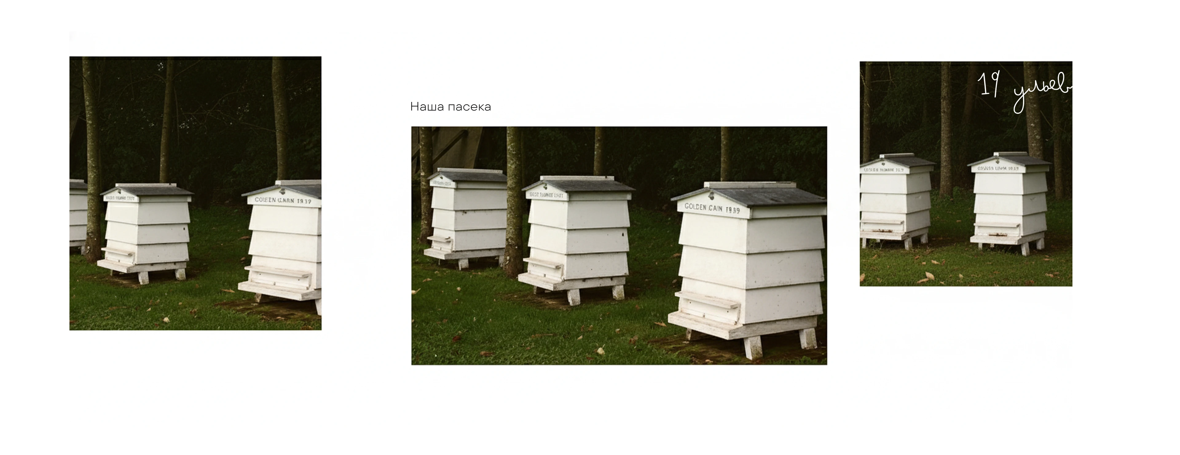 ГЛЕМПИНГ — Изображение №8 — Брендинг, Маркетинг на Dprofile