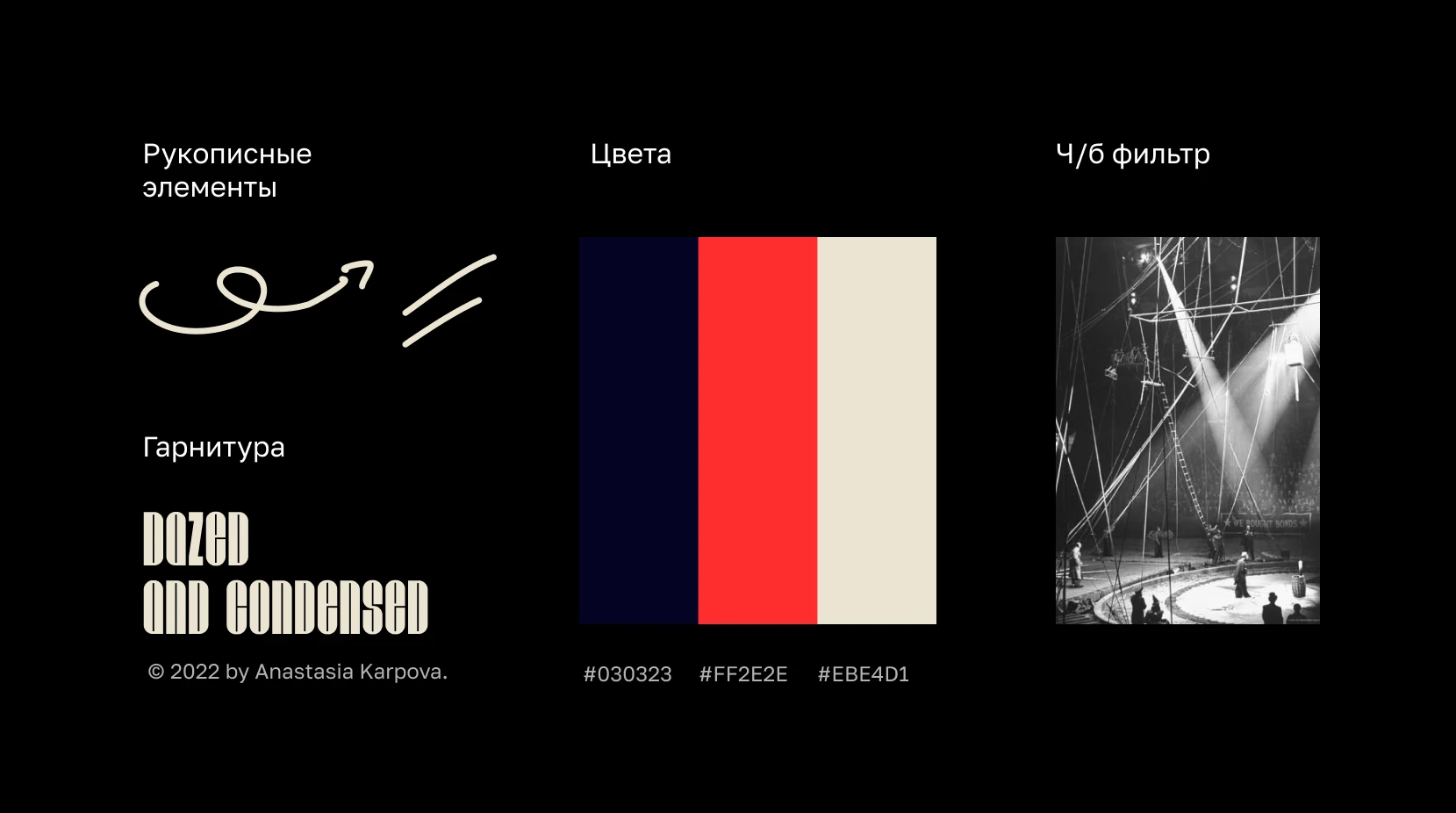 Цирковой фестиваль "Фиеста" — Изображение №3 — Брендинг, Графика на Dprofile