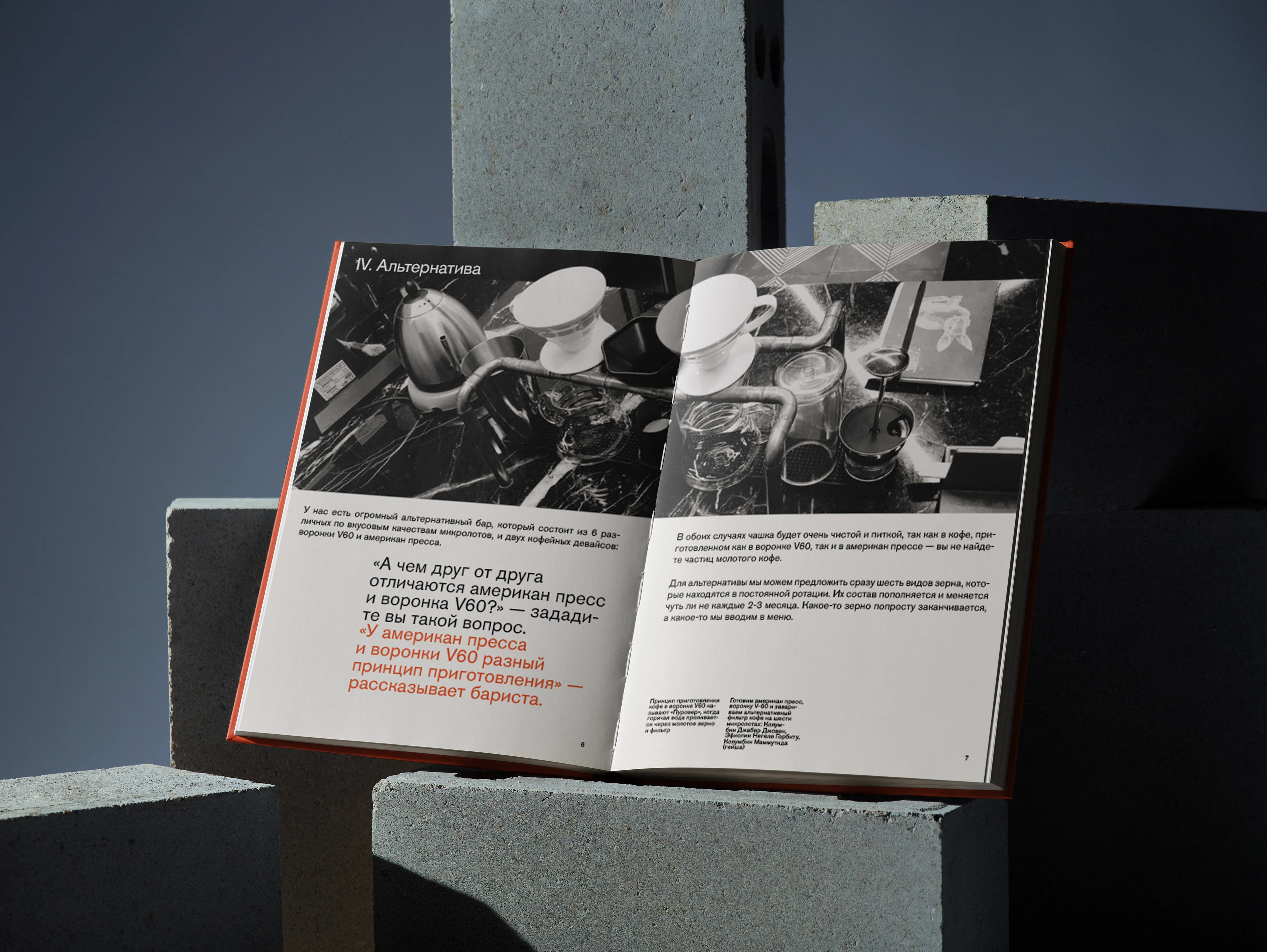 Skuratov coffee — zine + booklet + flyer — Изображение №6 — Графика на Dprofile