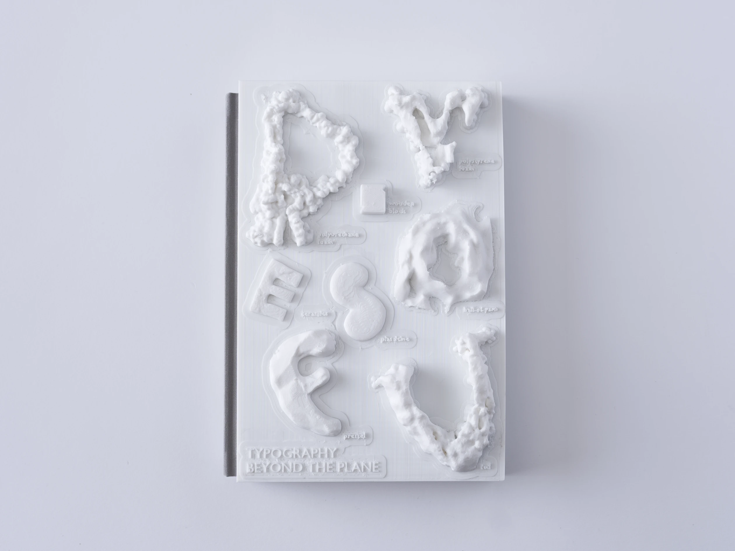 TYPOGRAPHY BEYOND THE PLANE | Book Cover Design — Изображение №2 — Графика на Dprofile