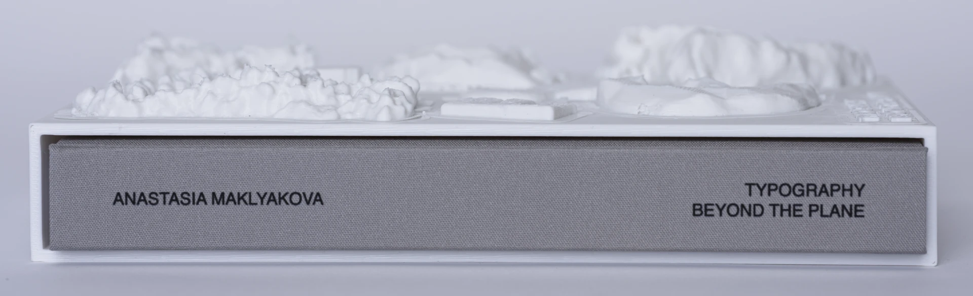 TYPOGRAPHY BEYOND THE PLANE | Book Cover Design — Изображение №3 — Графика на Dprofile