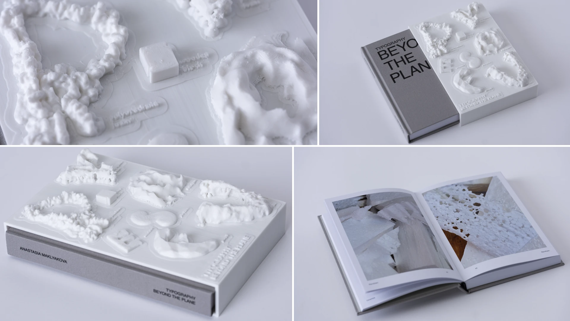 TYPOGRAPHY BEYOND THE PLANE | Book Cover Design — Изображение №4 — Графика на Dprofile