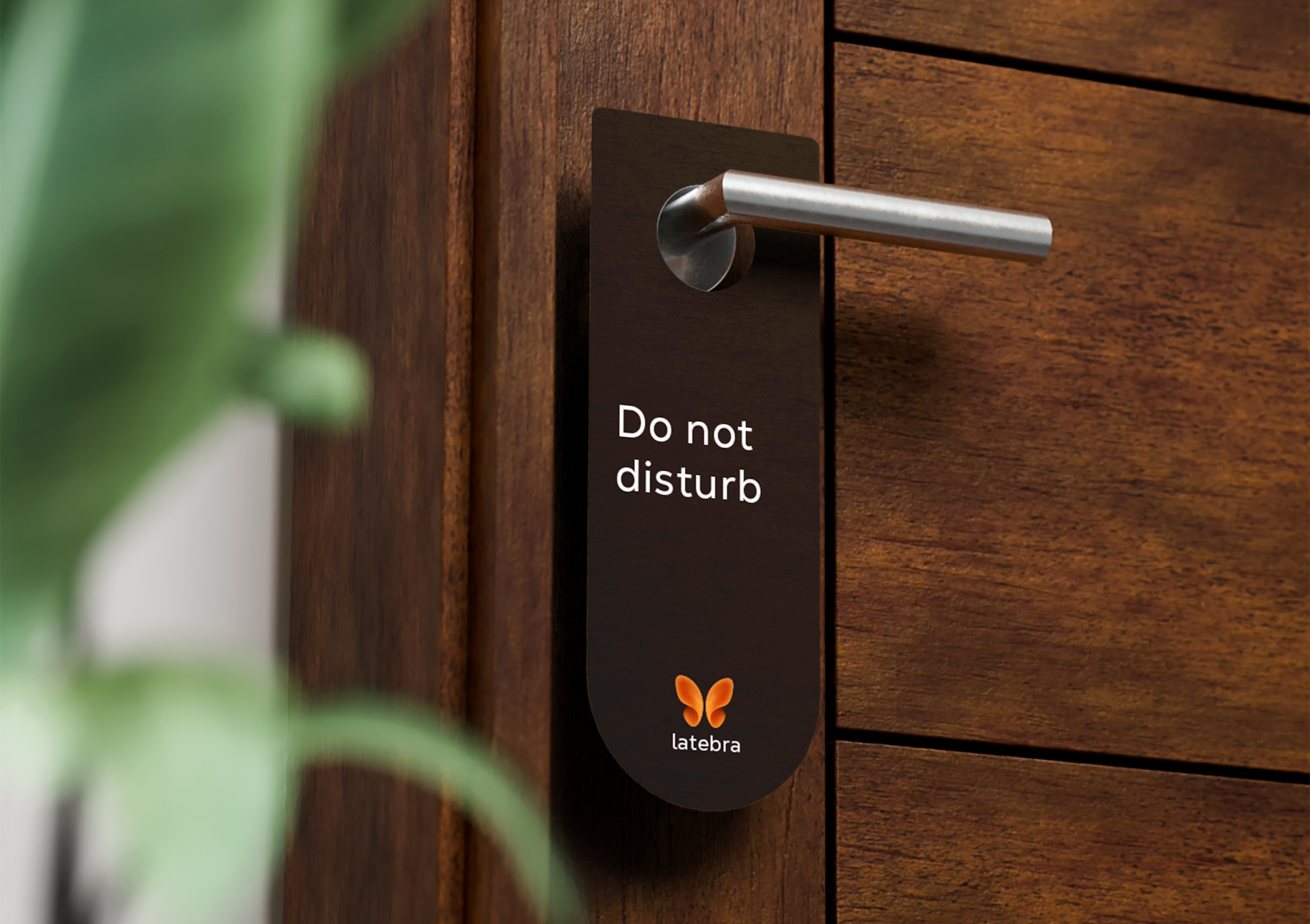 Мастерская тайников “latebra” — Изображение №1 — Брендинг на Dprofile