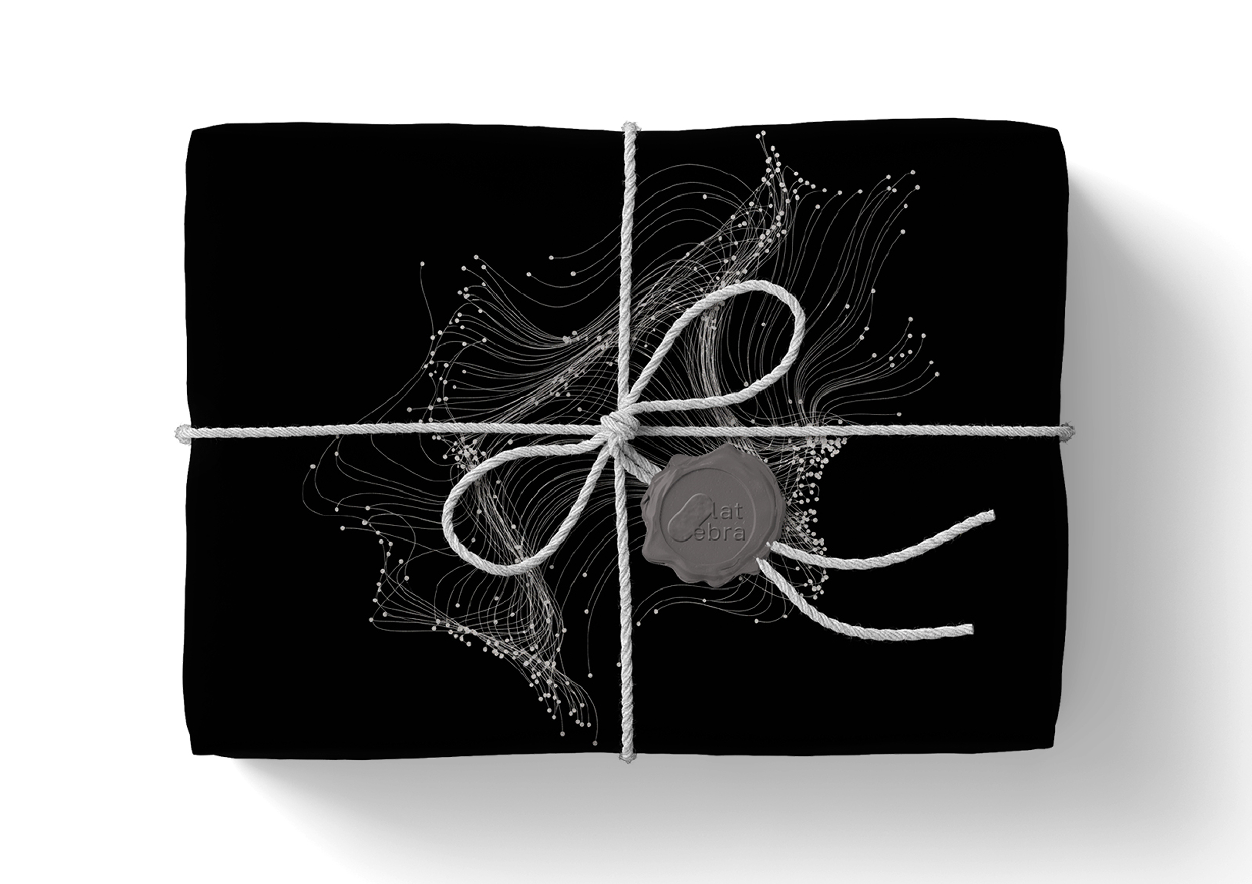 Мастерская тайников “latebra” — Изображение №8 — Брендинг на Dprofile