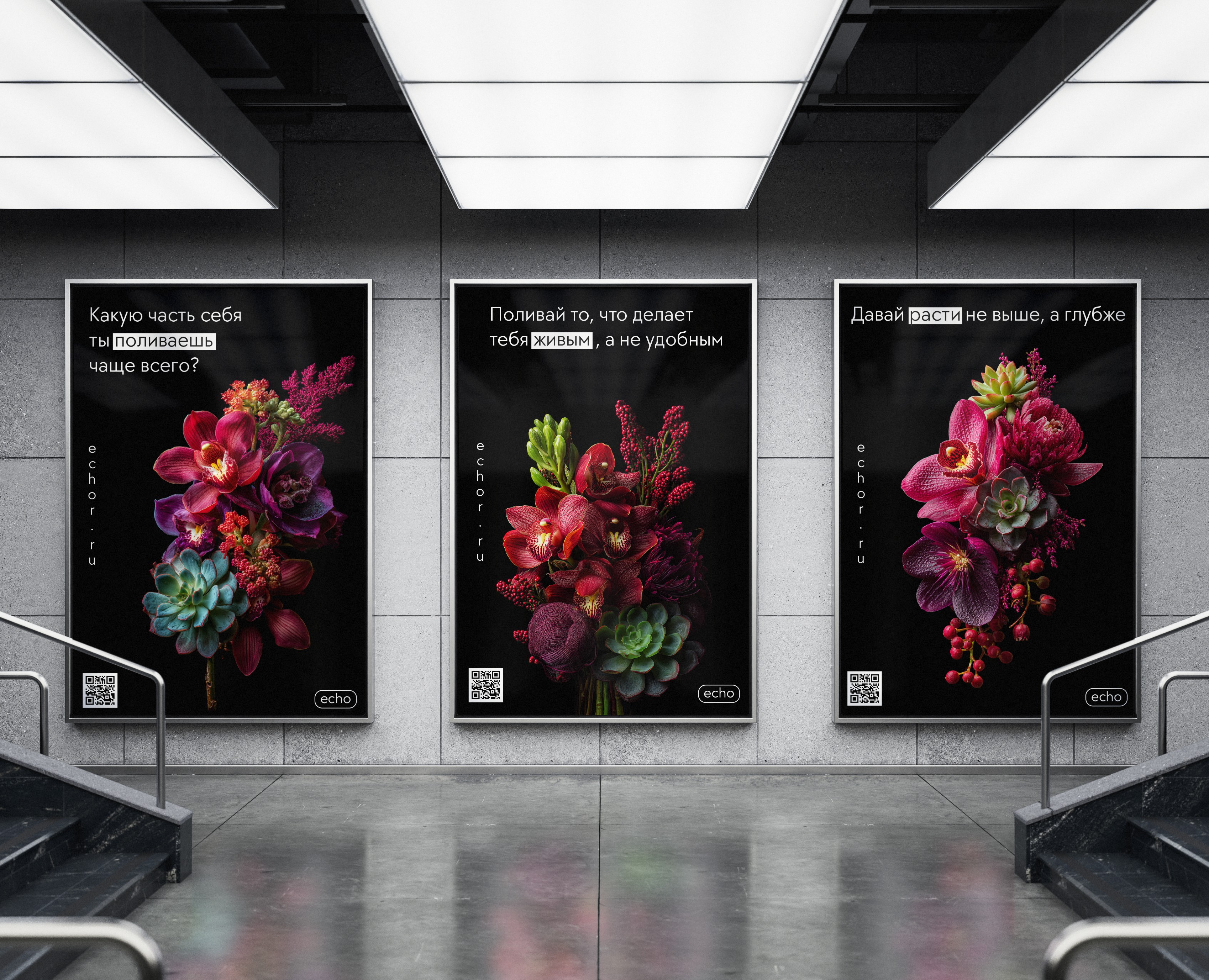 Плакаты для радиостанции «echo» на Dprofile