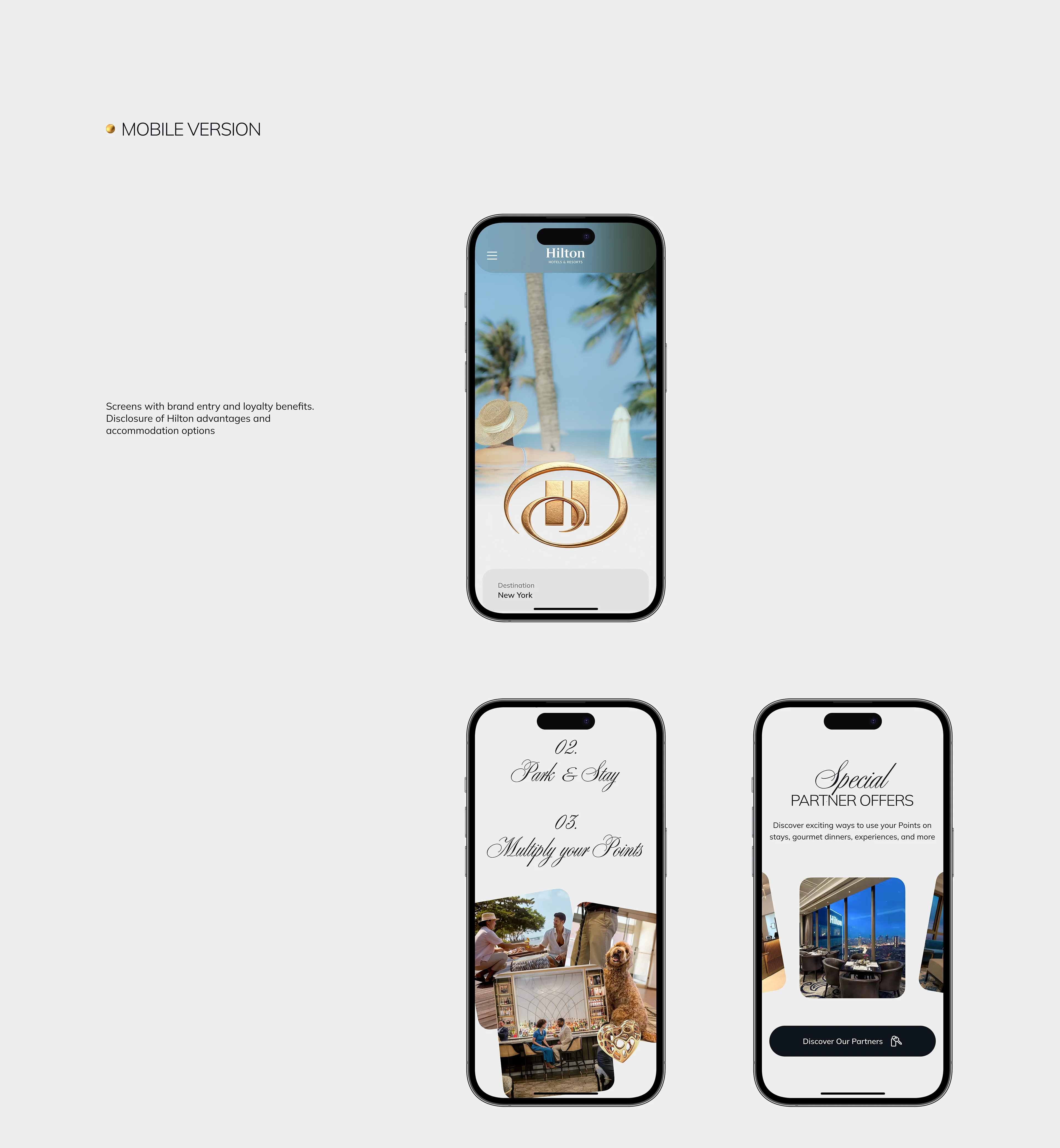 Hilton Website Redesign — UX/UI Case Study — Изображение №16 — Интерфейсы, Анимация на Dprofile