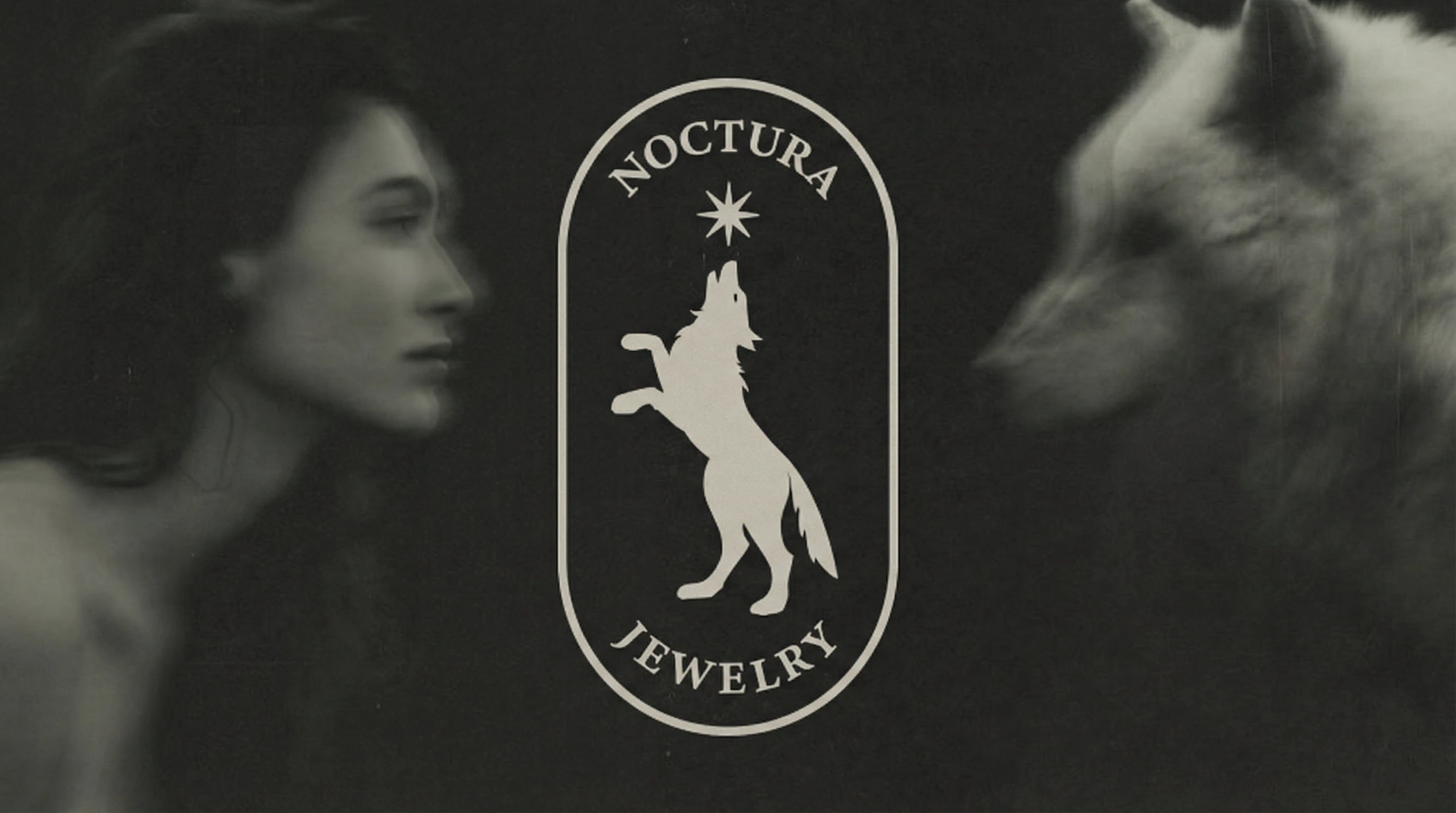 Айдентика ювелирного бренда Noctura — Изображение №1 — Брендинг на Dprofile