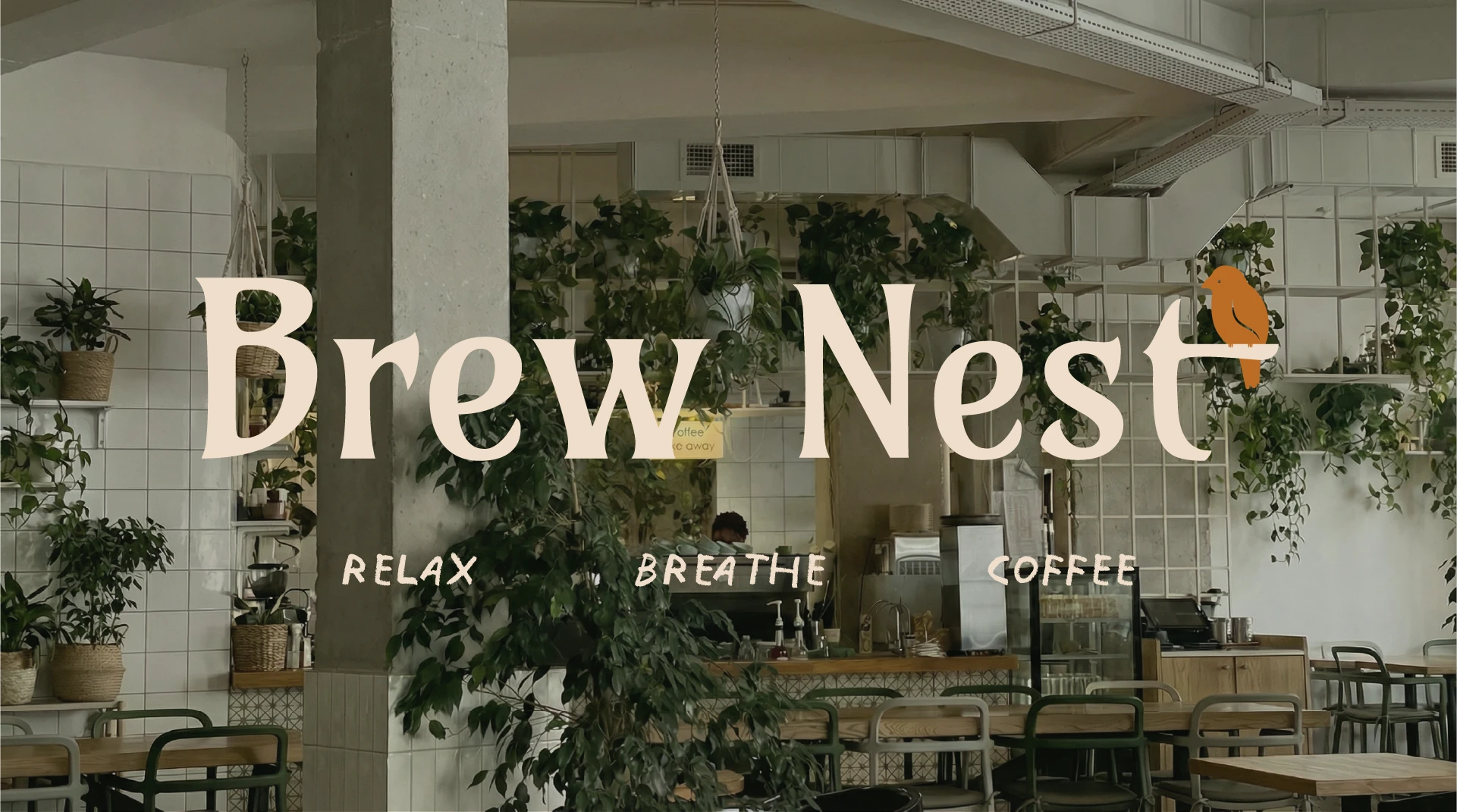 Визуальная айдентика для кофейни Brew Nest — Изображение №1 — Брендинг на Dprofile
