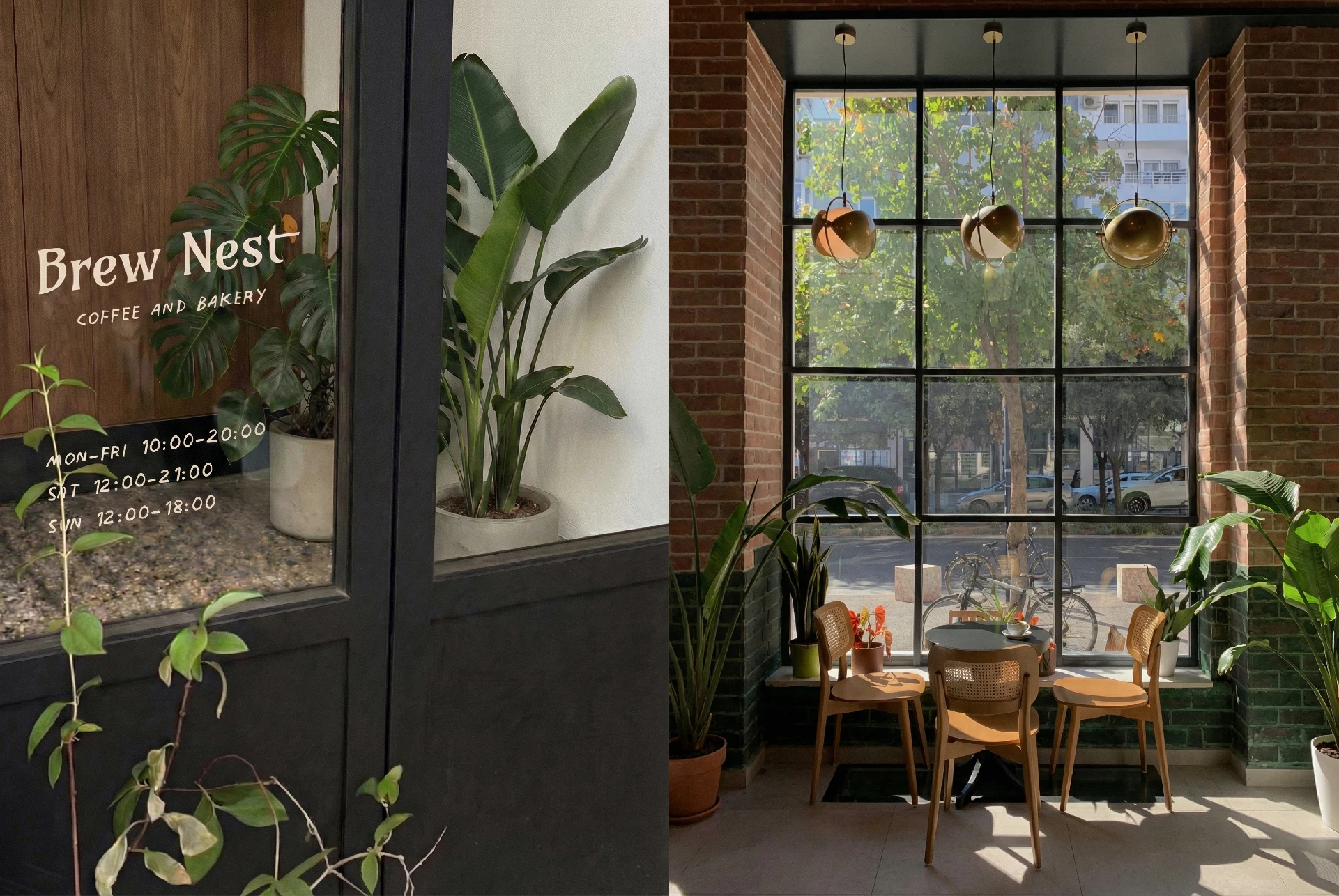 Визуальная айдентика для кофейни Brew Nest — Изображение №3 — Брендинг на Dprofile