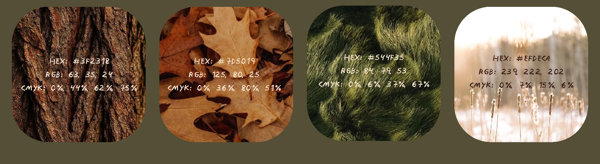 Визуальная айдентика для кофейни Brew Nest — Изображение №5 — Брендинг на Dprofile