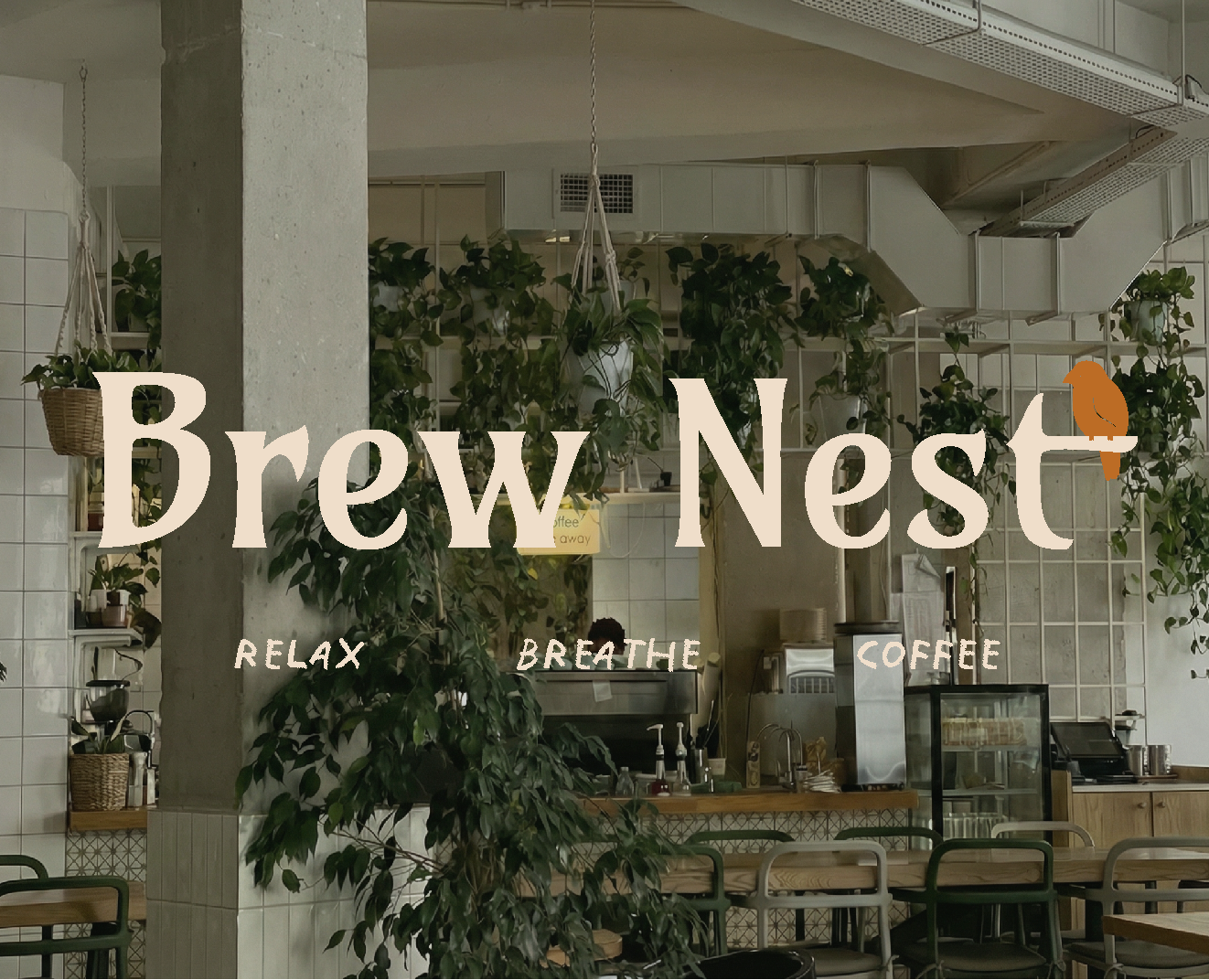Визуальная айдентика для кофейни Brew Nest — Брендинг на Dprofile