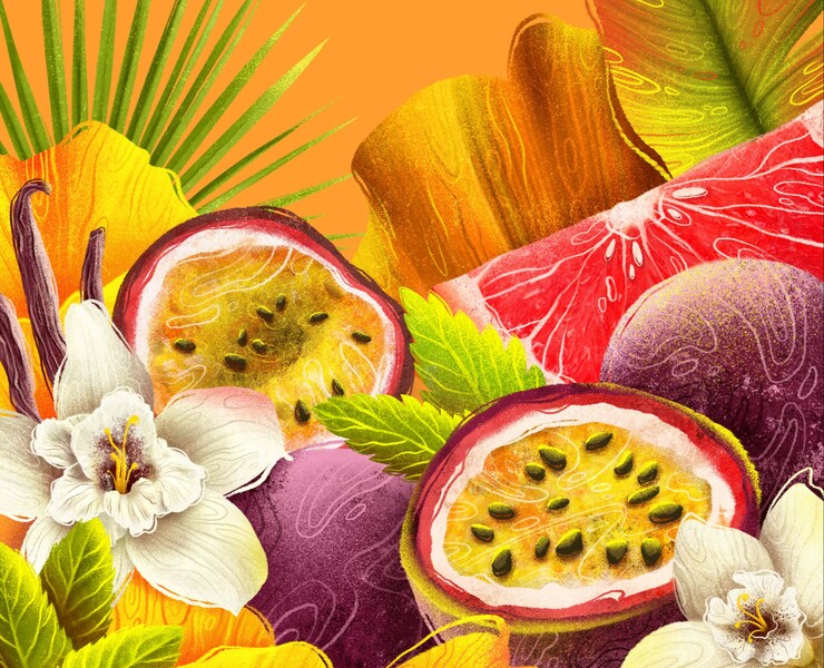 SHAKE IT | Fruit cocktails | Packaging — Брендинг, Иллюстрация на Dprofile