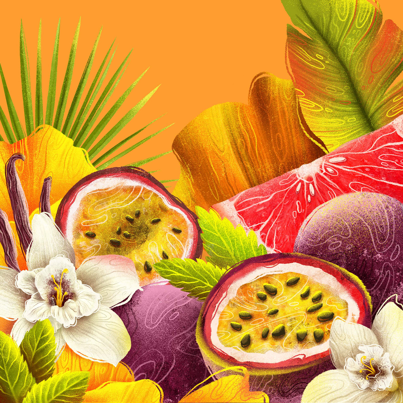 SHAKE IT | Fruit cocktails | Packaging — Изображение №11 — Брендинг, Иллюстрация на Dprofile