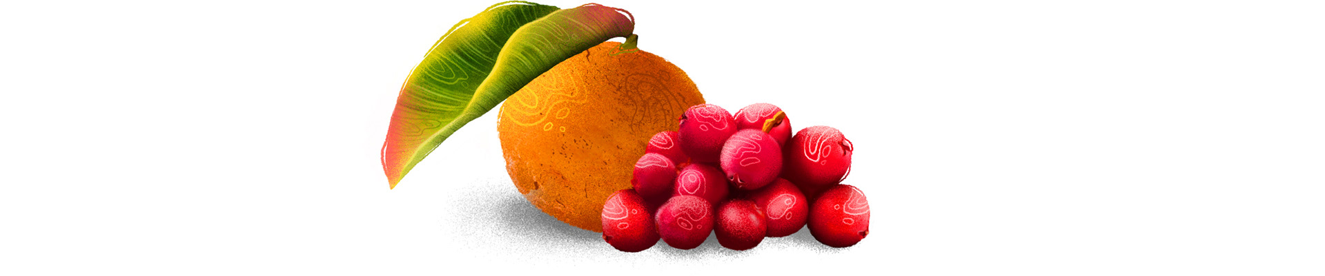 SHAKE IT | Fruit cocktails | Packaging — Изображение №19 — Брендинг, Иллюстрация на Dprofile
